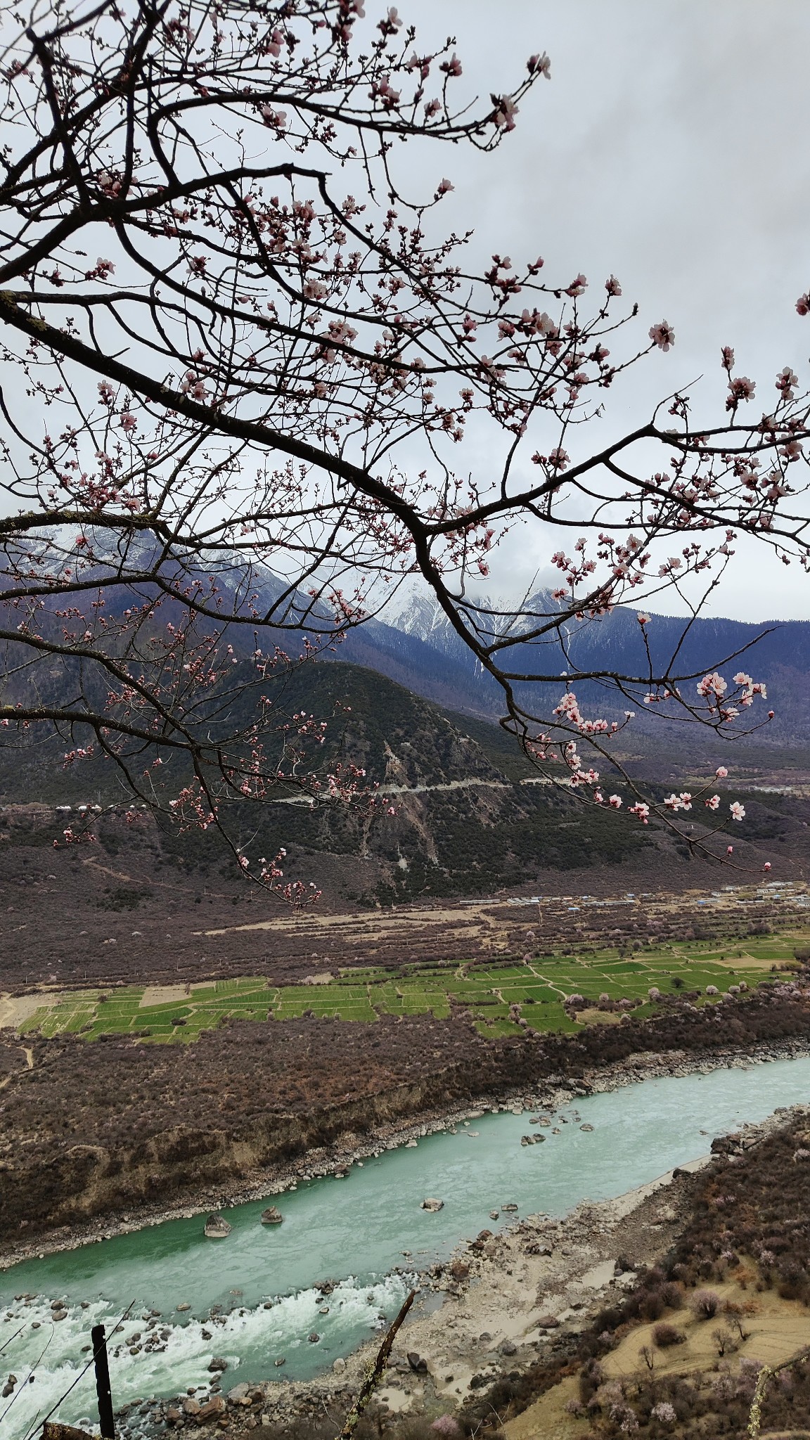 林芝自助遊攻略