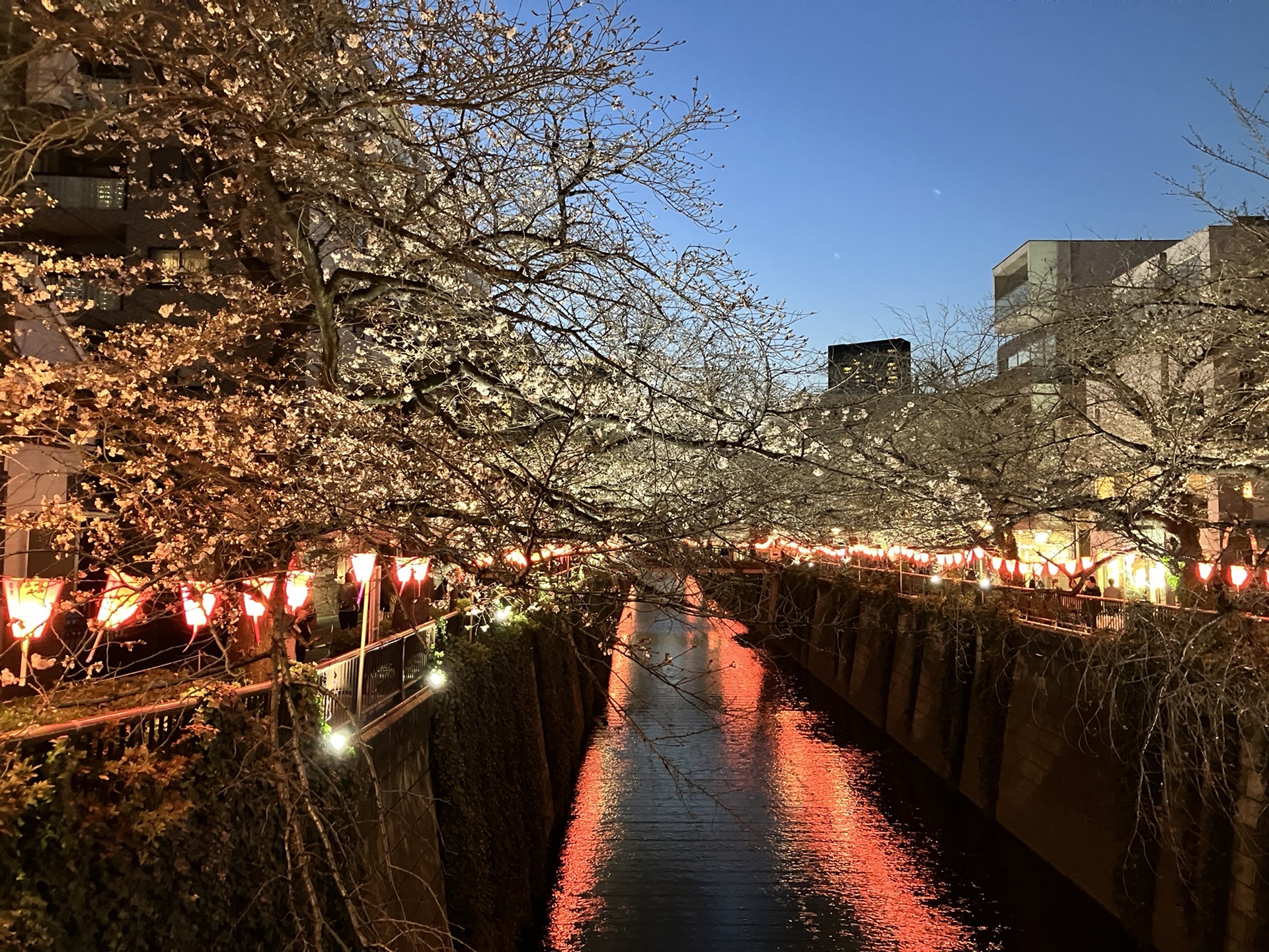 東京自助遊攻略