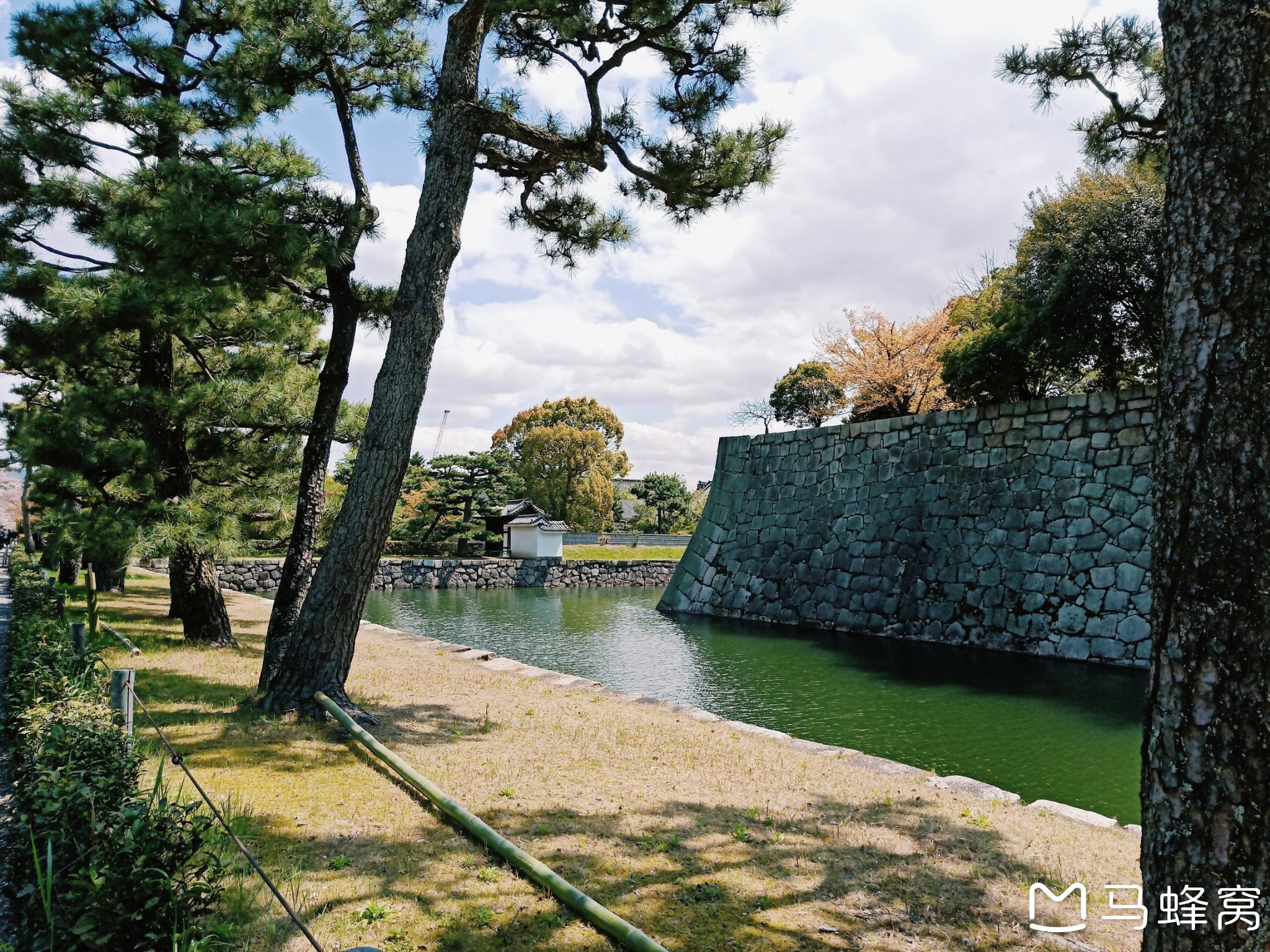 京都自助遊攻略