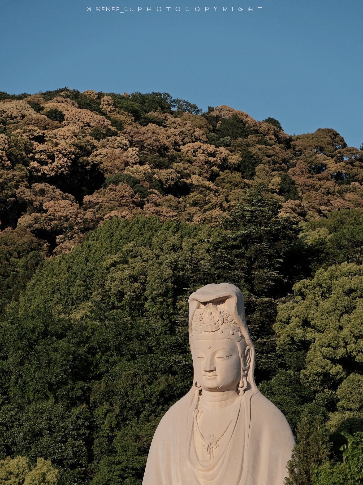 京都自助遊攻略