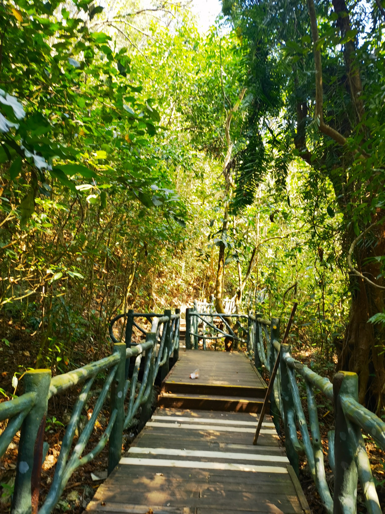 东方俄贤岭风景区电话图片