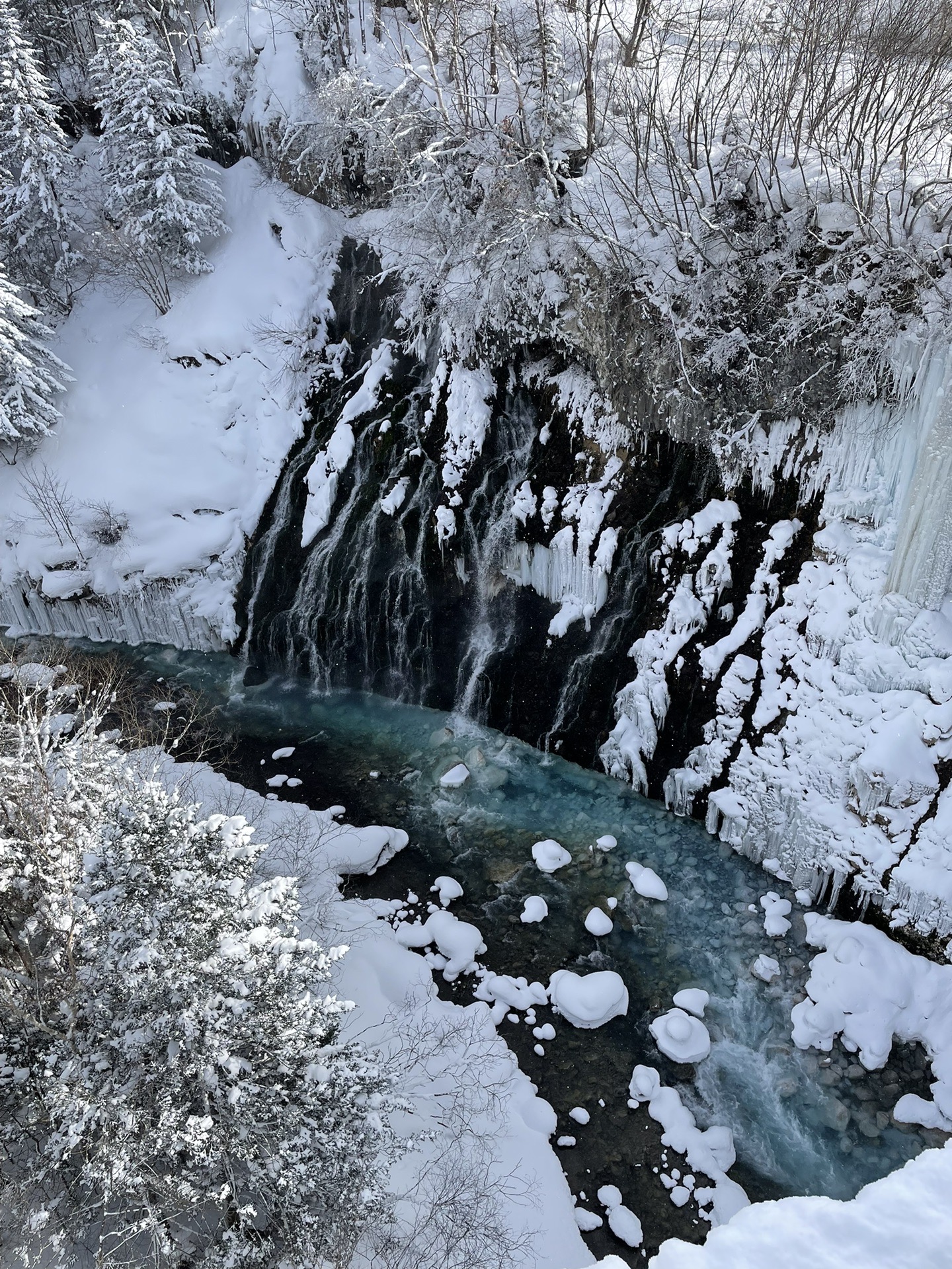 北海道自助遊攻略