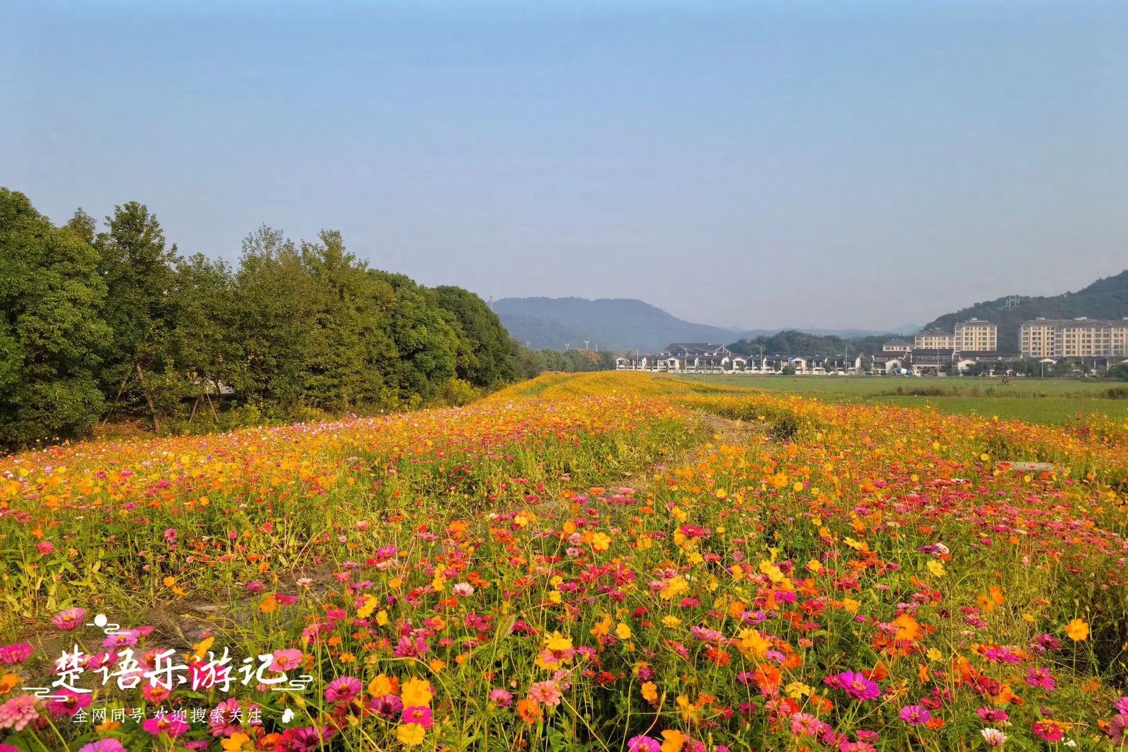 宁波荪湖田园图片