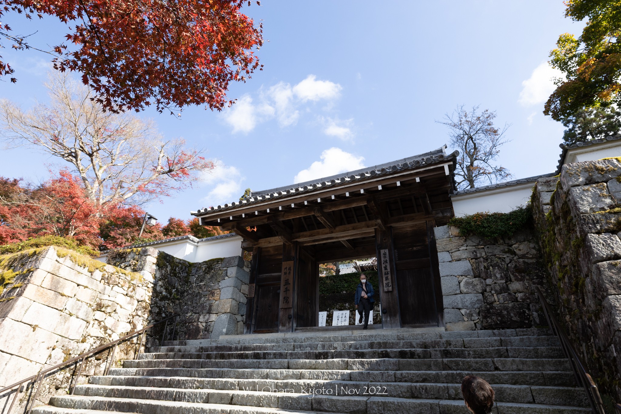 京都自助遊攻略