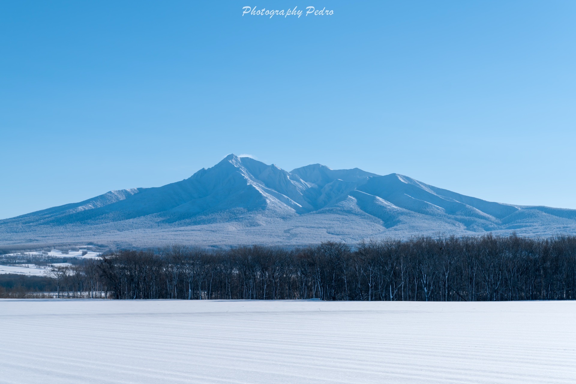 北海道自助遊攻略