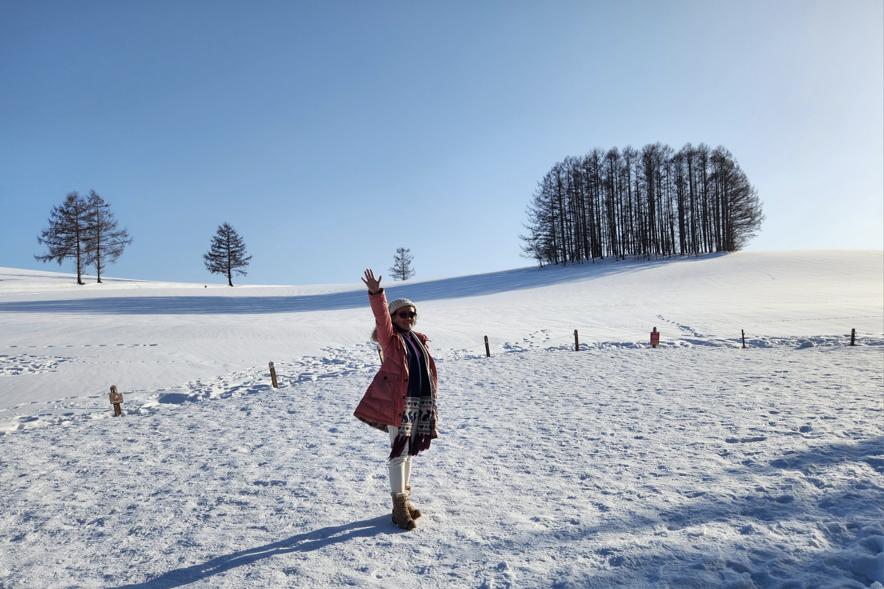 北海道自助遊攻略