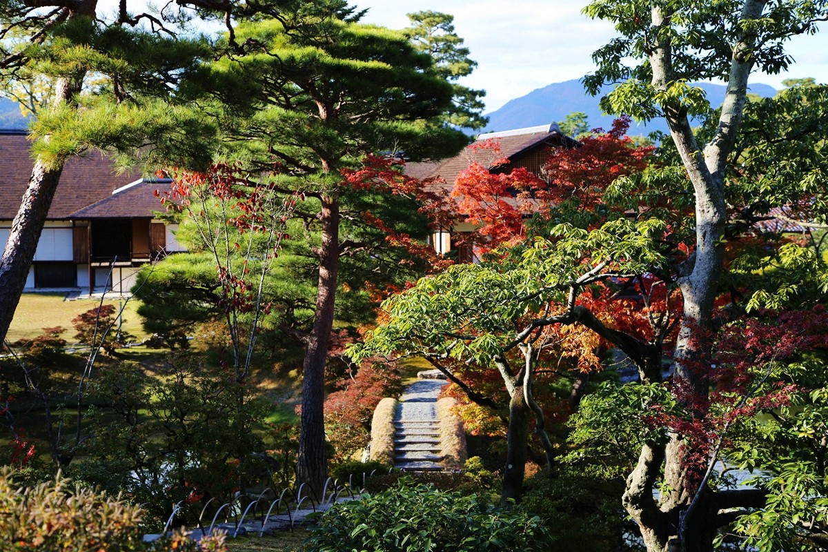 京都自助遊攻略