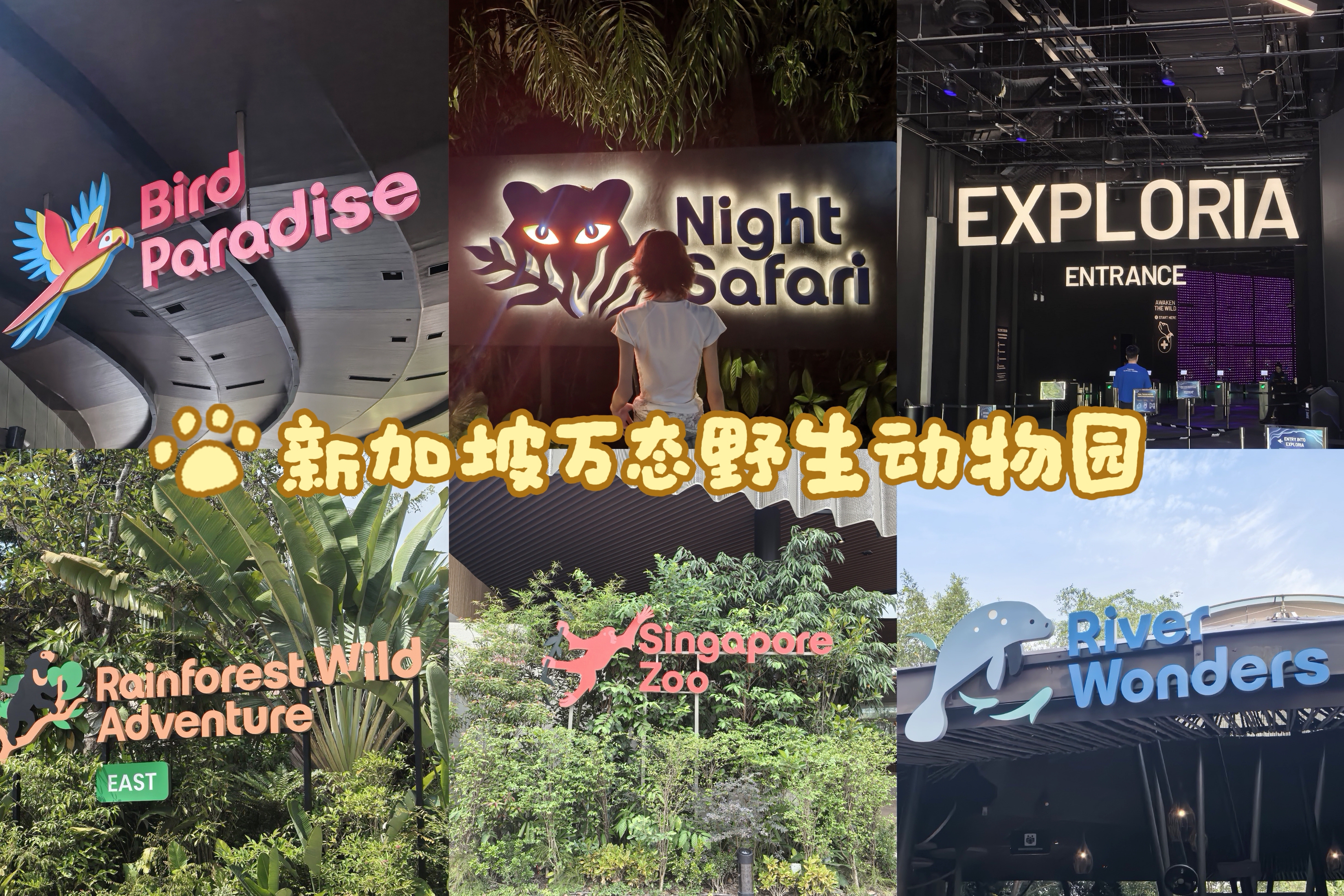 超详细2026年新加坡万态野生动物园一日六..