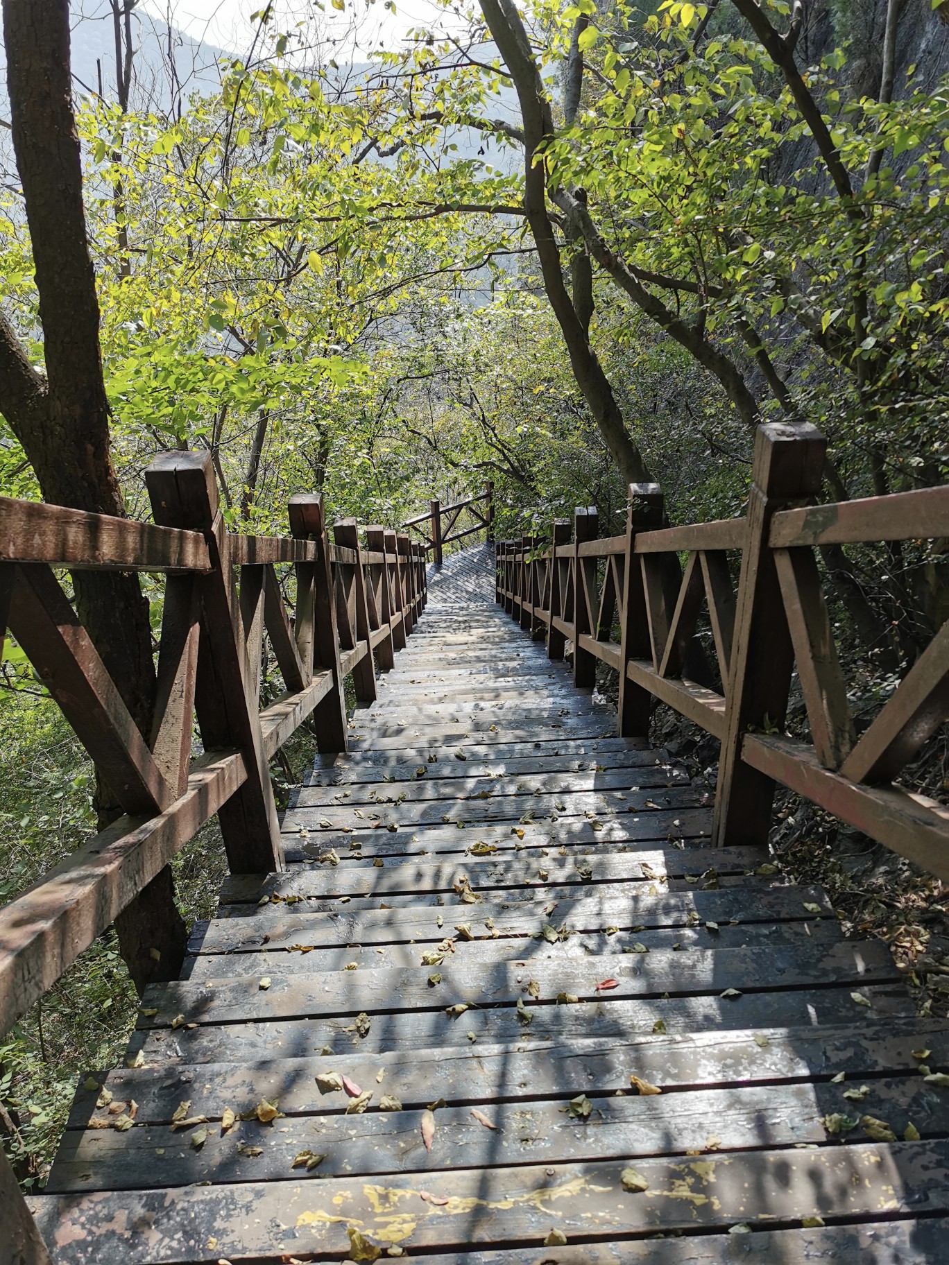 宿州附近的景点自驾游图片