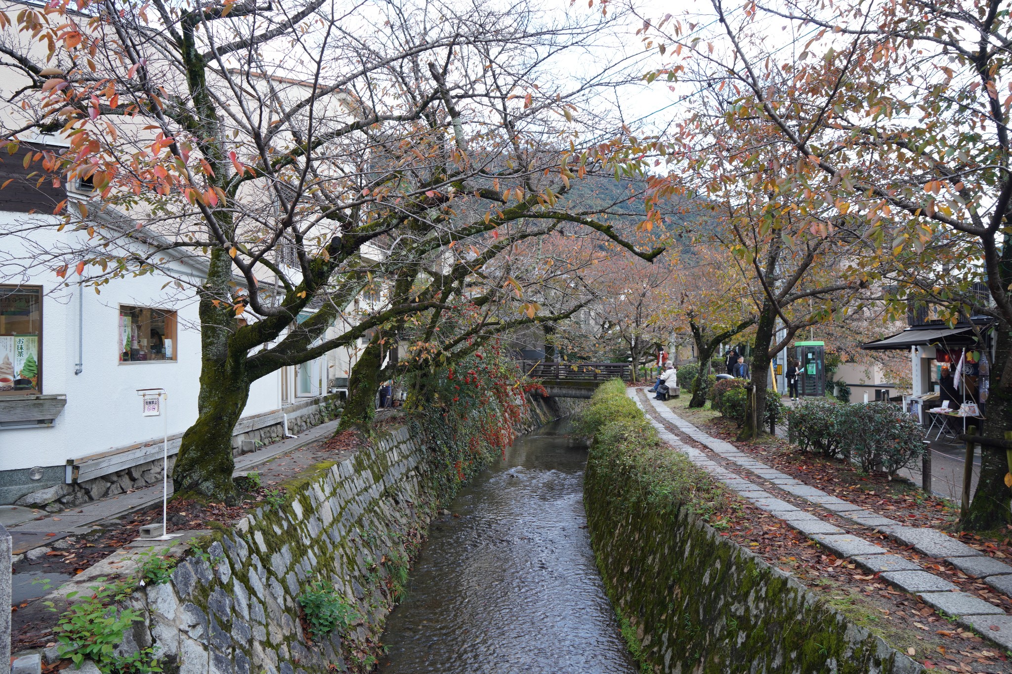 京都自助遊攻略