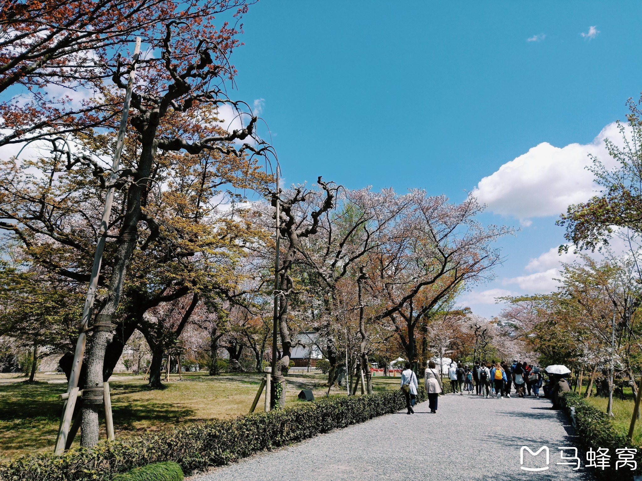 京都自助遊攻略