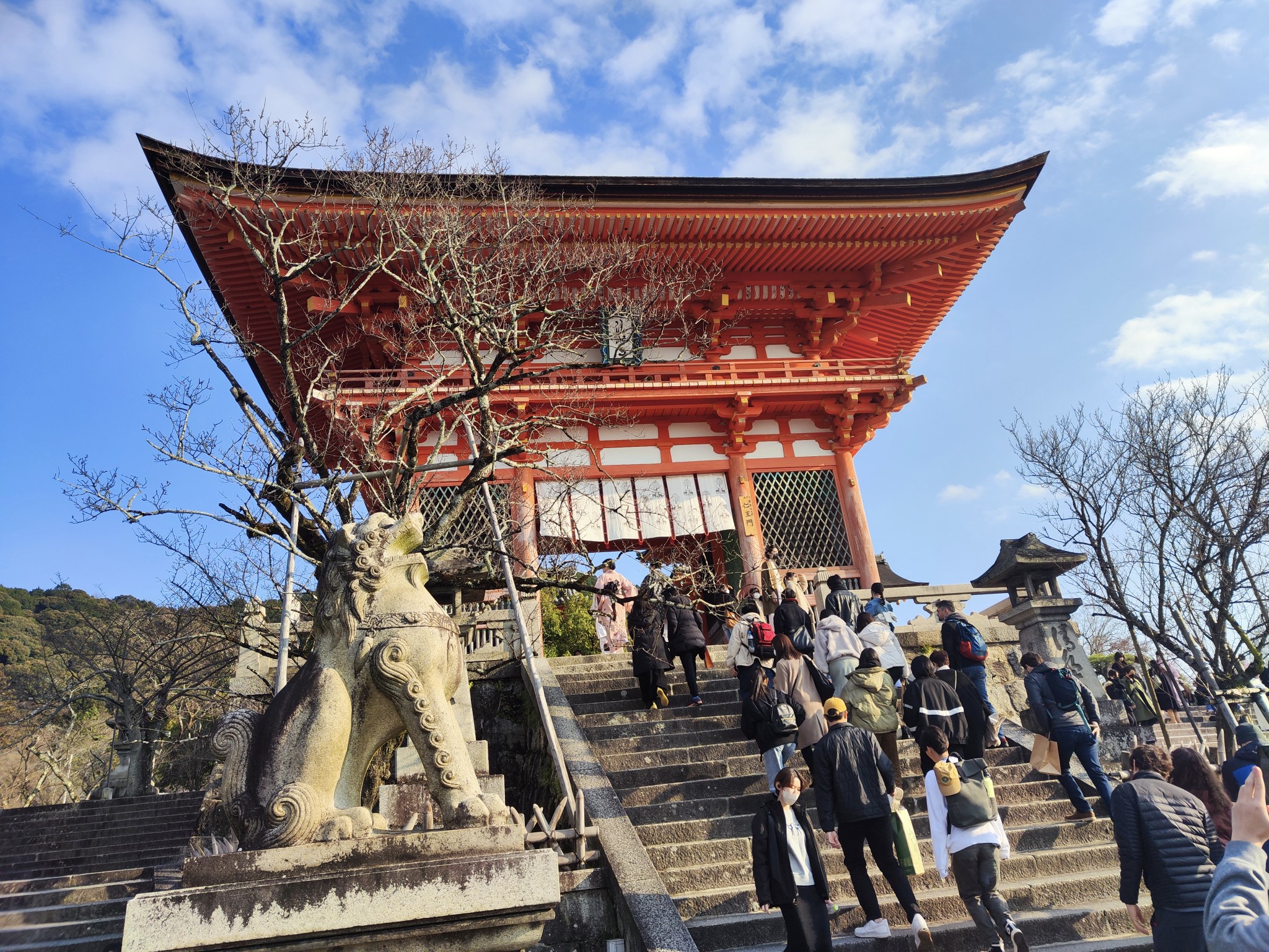 京都自助遊攻略