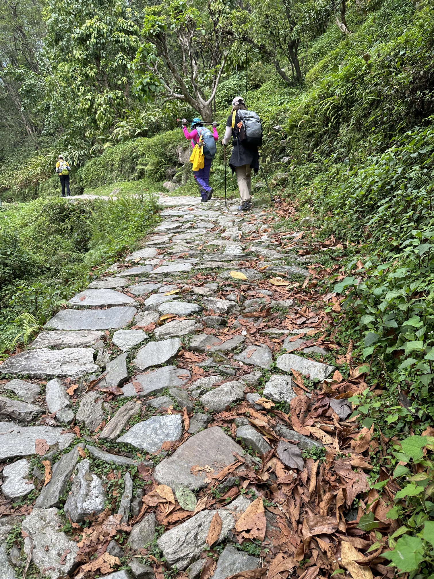 尼泊爾自助遊攻略