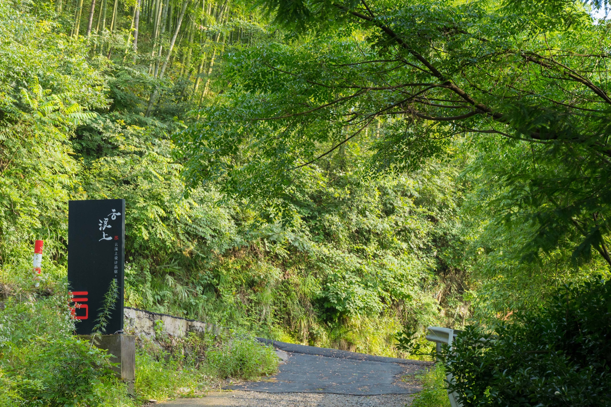 自驾莫干山，带云宝来一场亲近大自然的旅途_莫干山_攻略游记_途牛