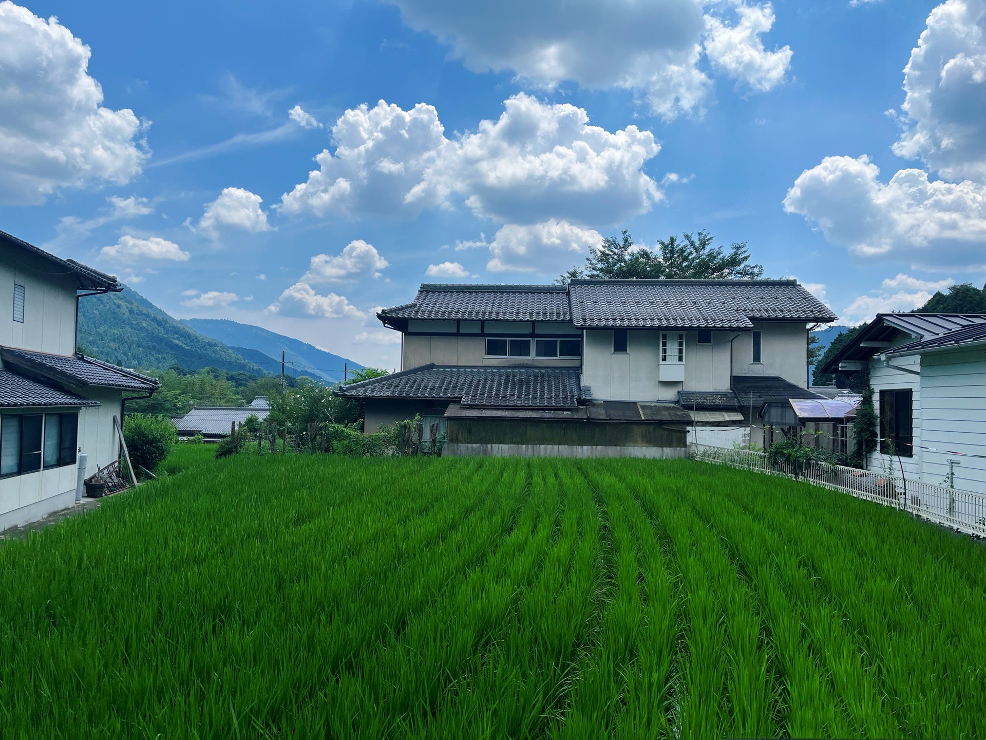 日本自助遊攻略