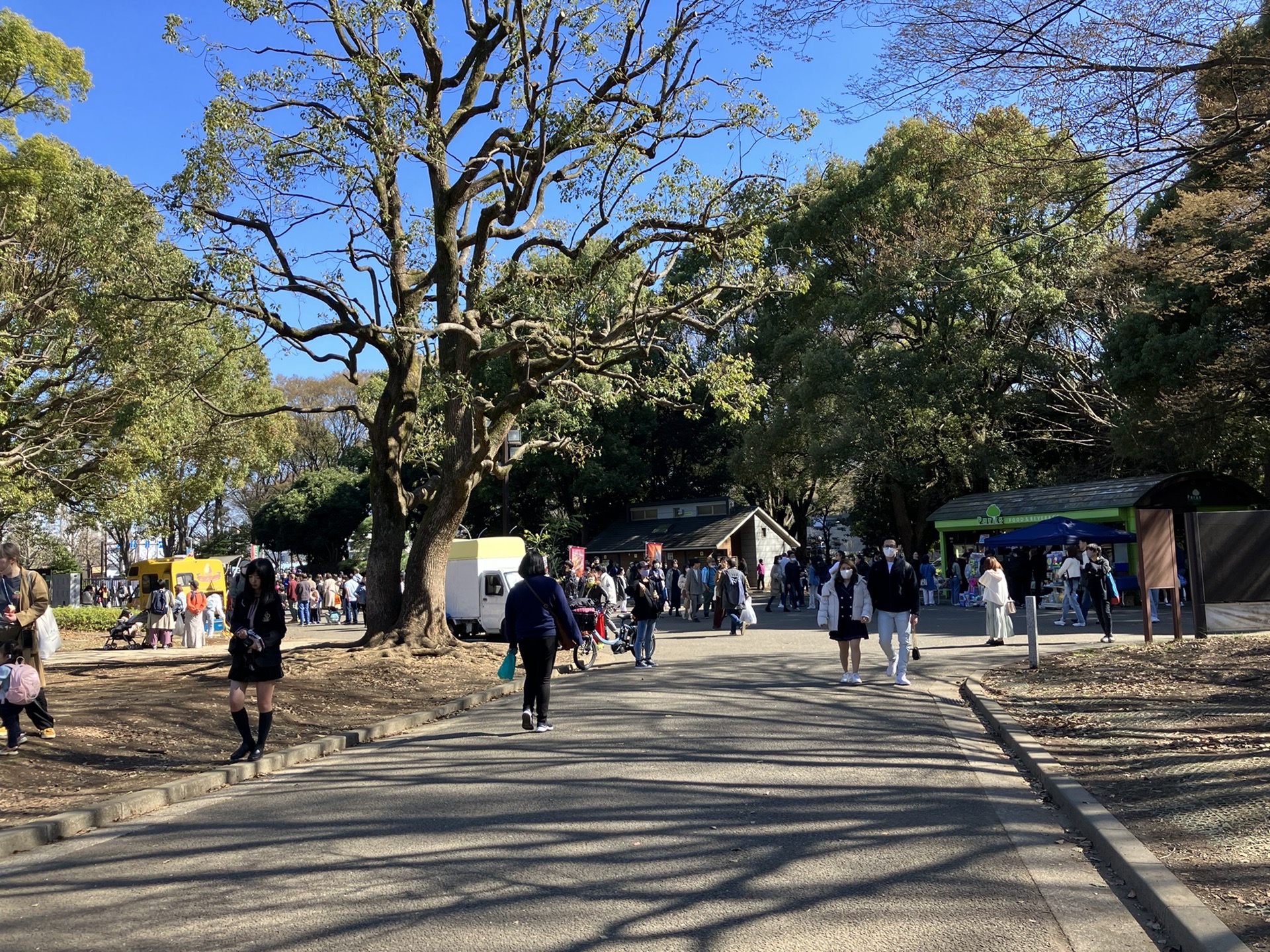 東京自助遊攻略