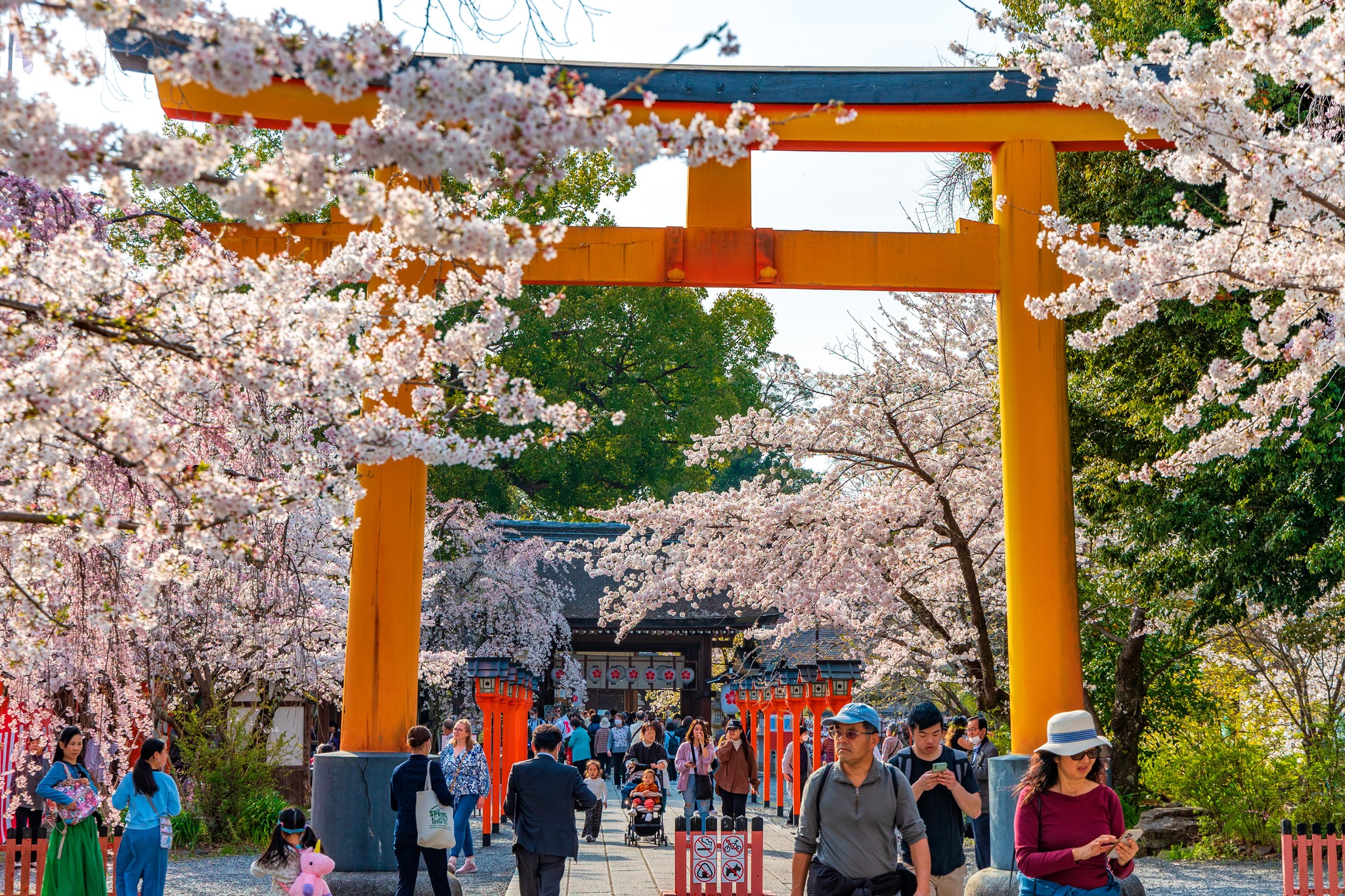 京都自助遊攻略