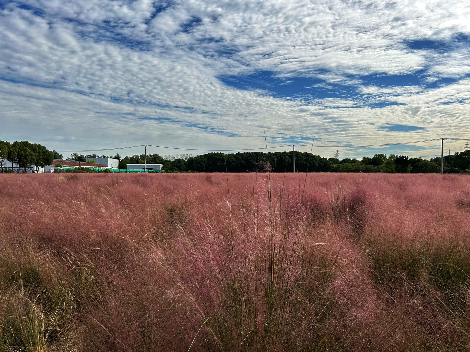 冯梦龙村半日游,苏州旅游攻略 - 马蜂窝