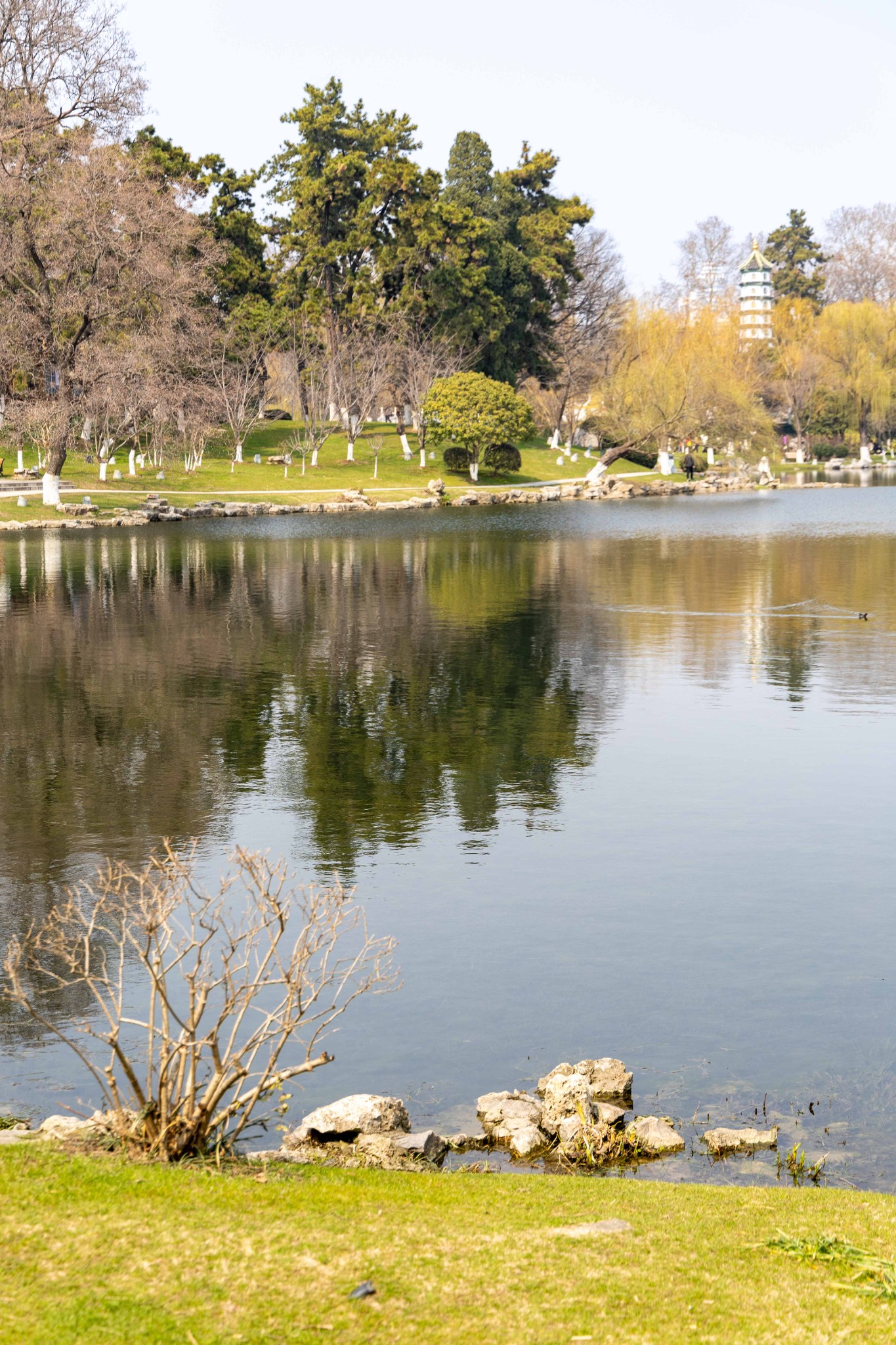 南京早晨风景图片图片