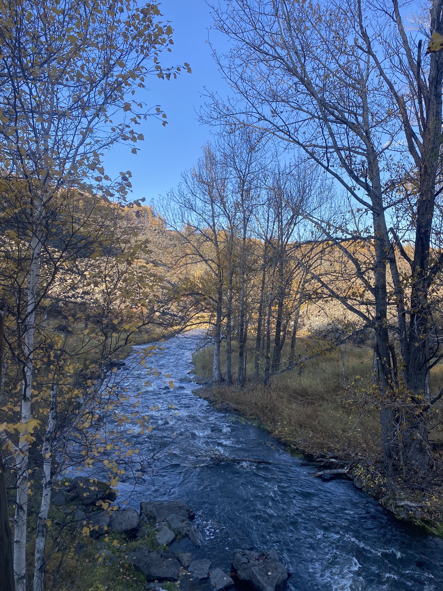 神游~秋游阿尔山,阿尔山自助游攻略 - 马蜂窝