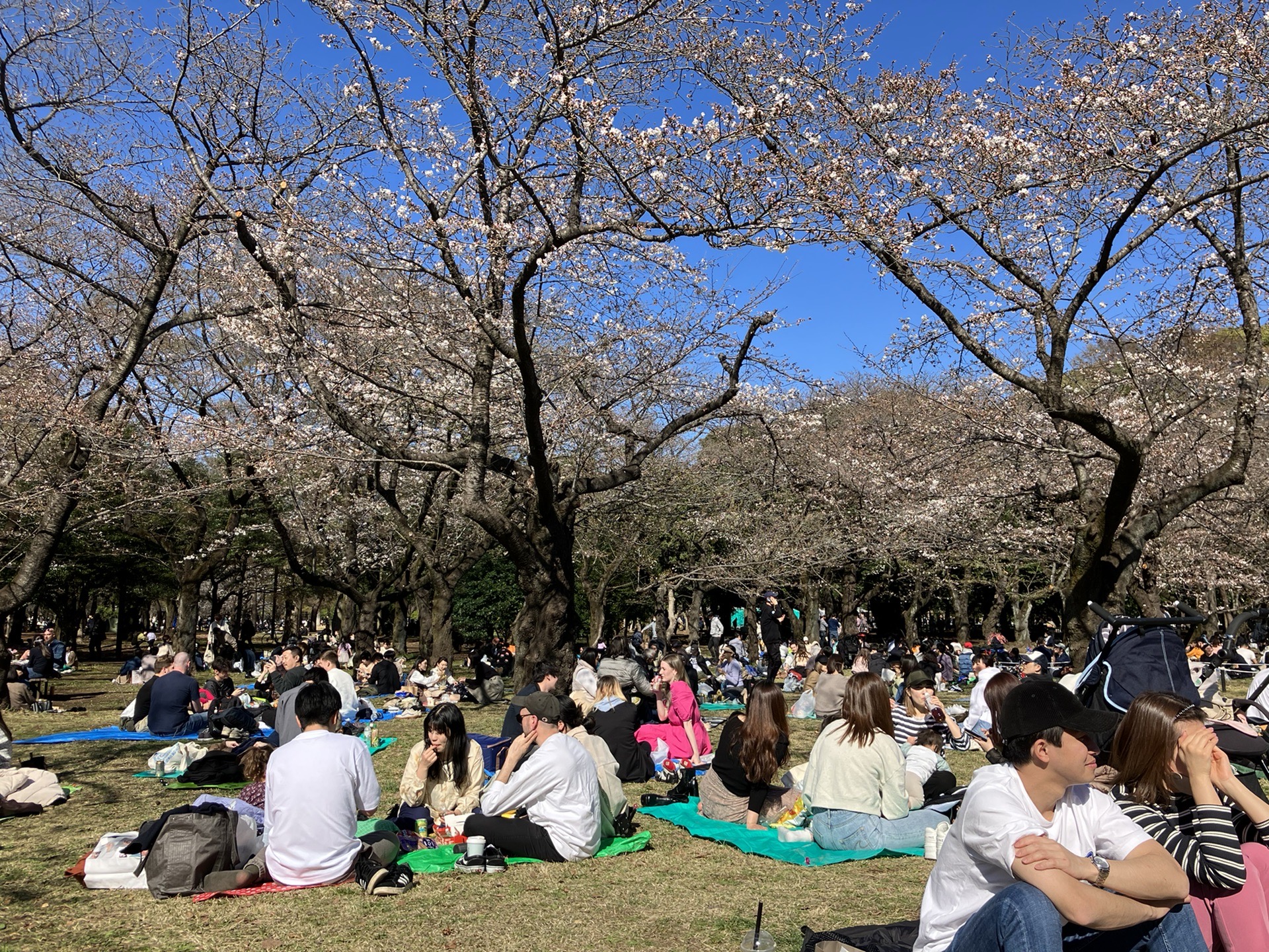 東京自助遊攻略