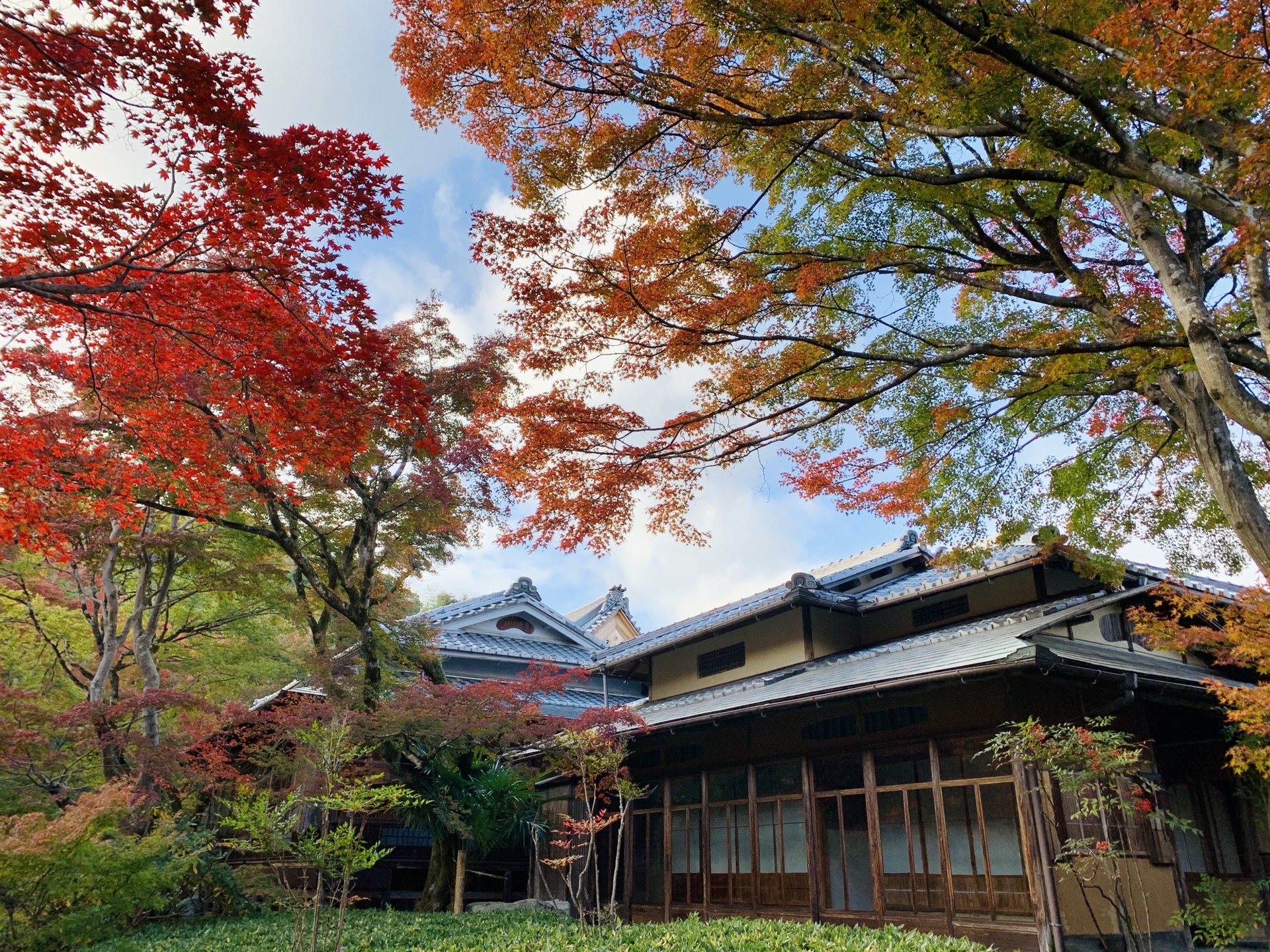 京都自助遊攻略