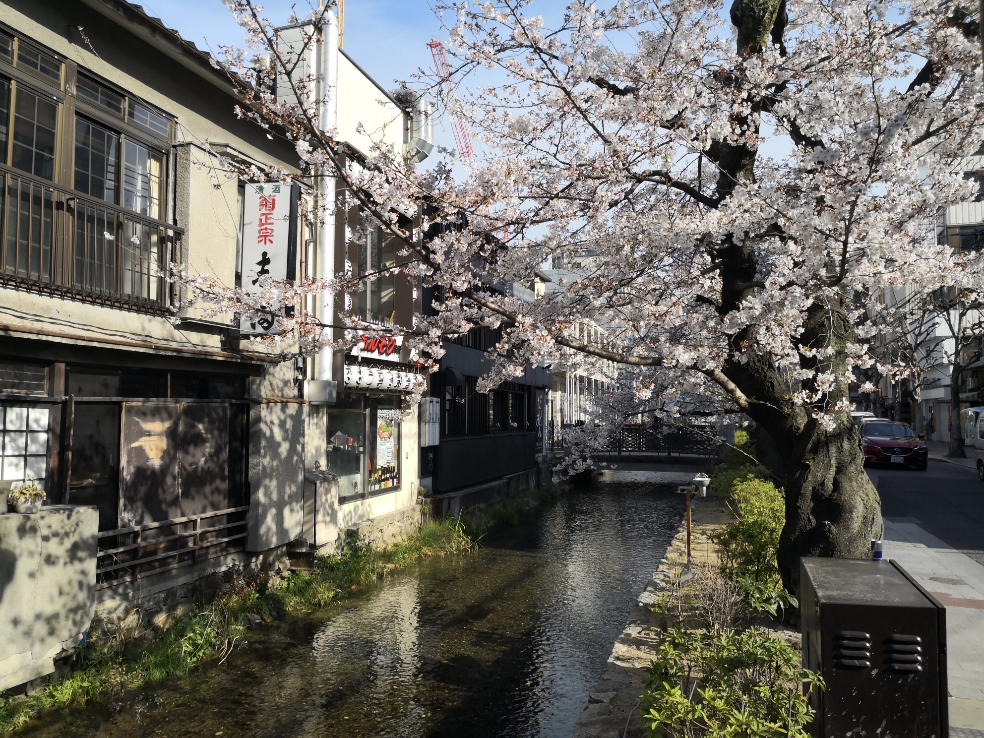 京都自助遊攻略