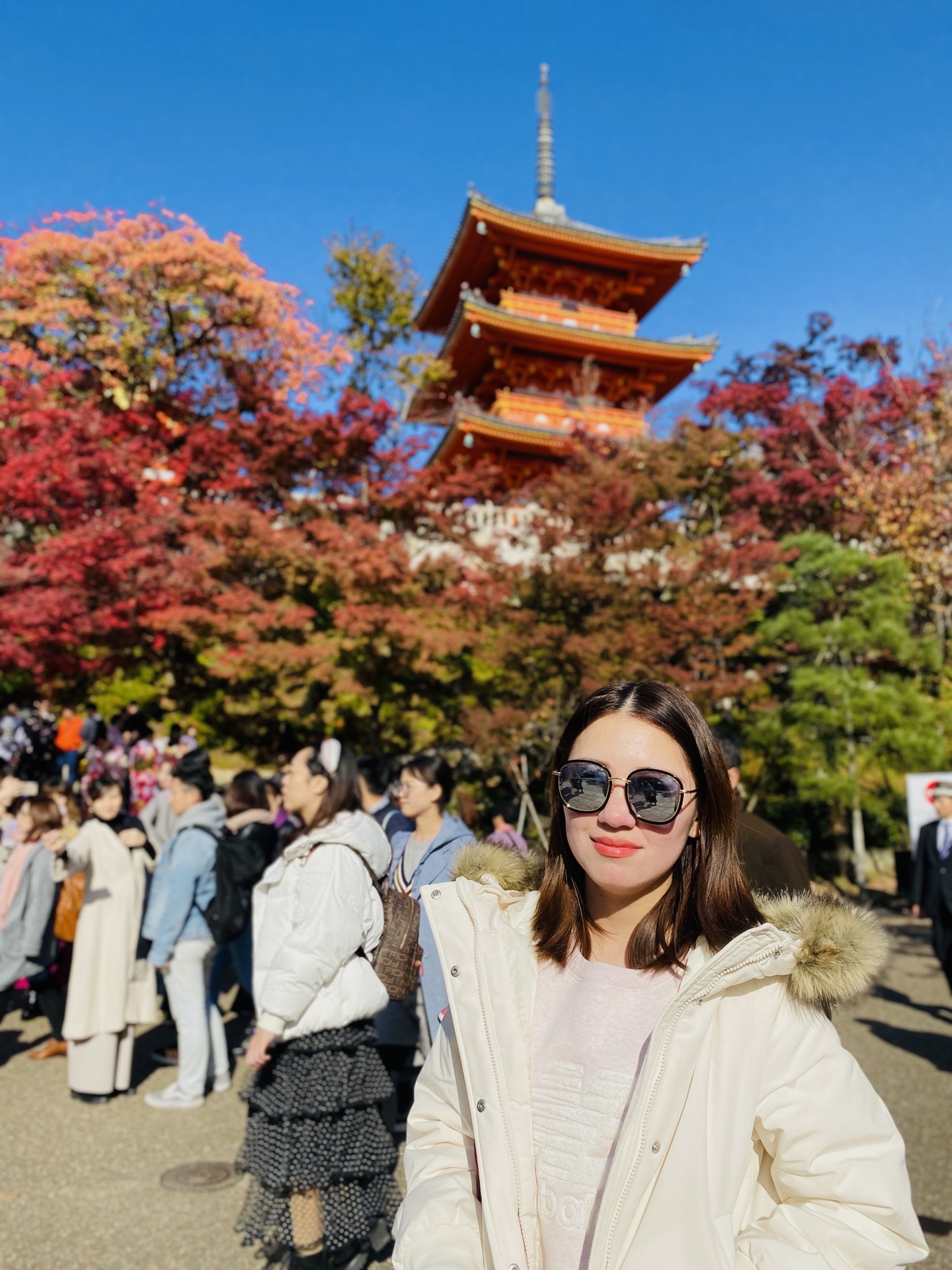 京都自助遊攻略