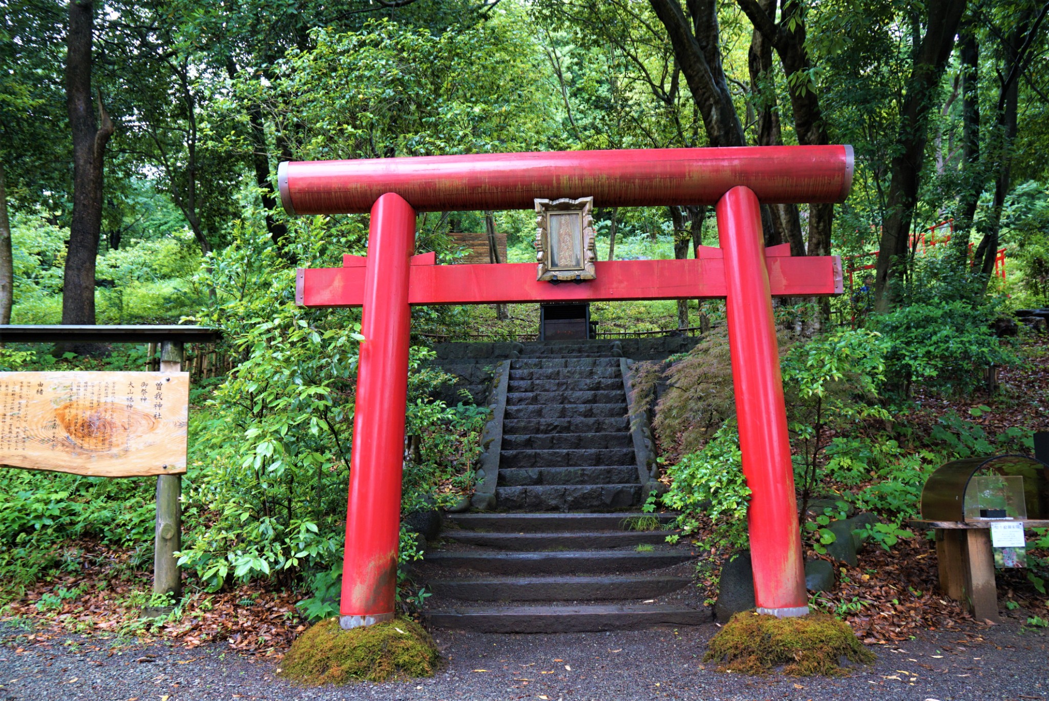 日本自助遊攻略