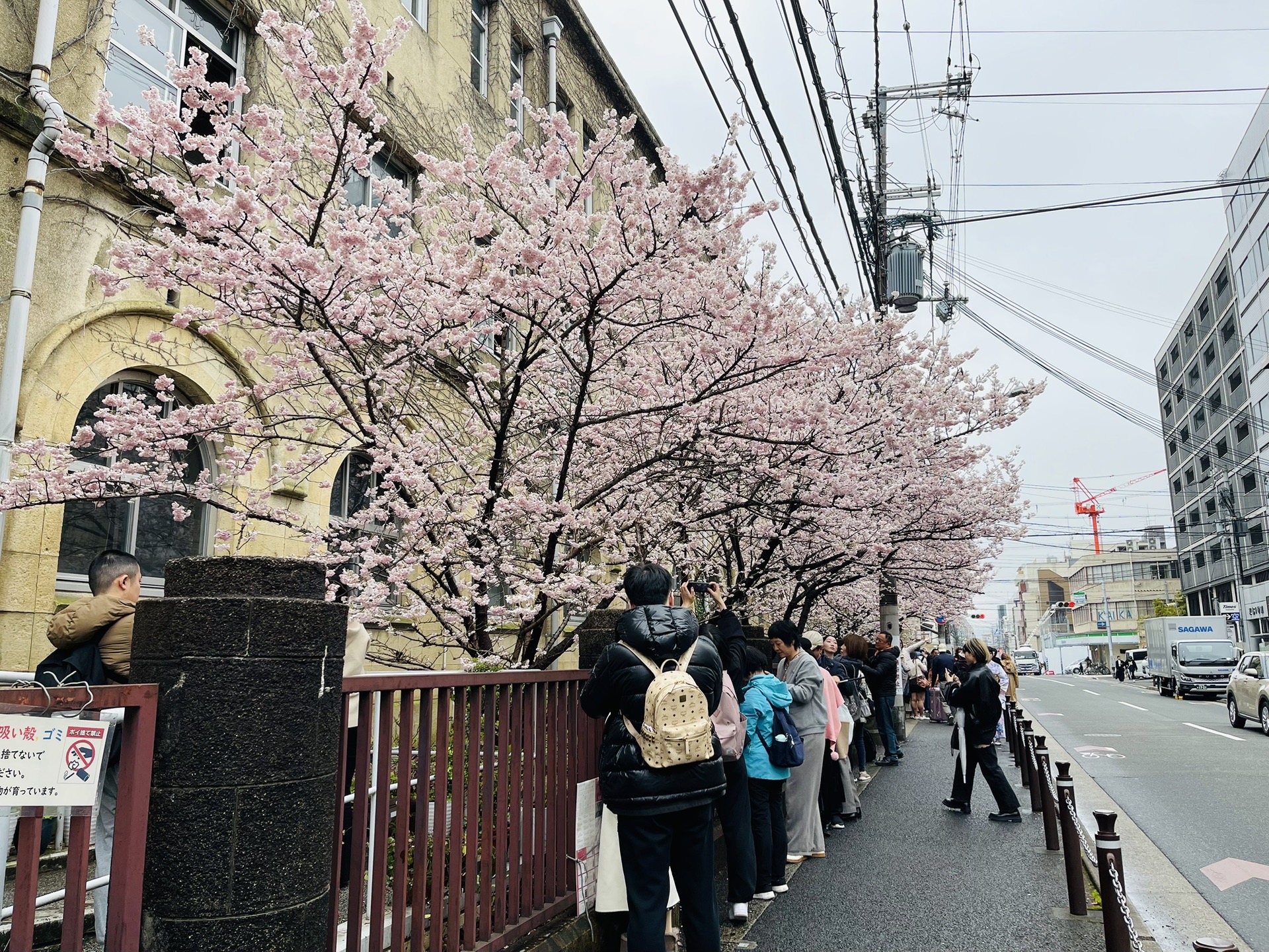 日本自助遊攻略