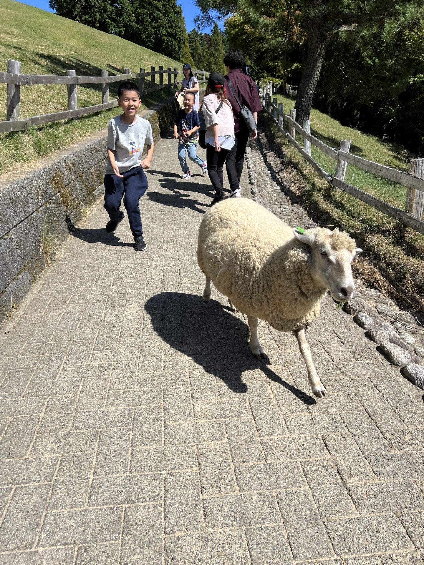 神戶自助遊攻略