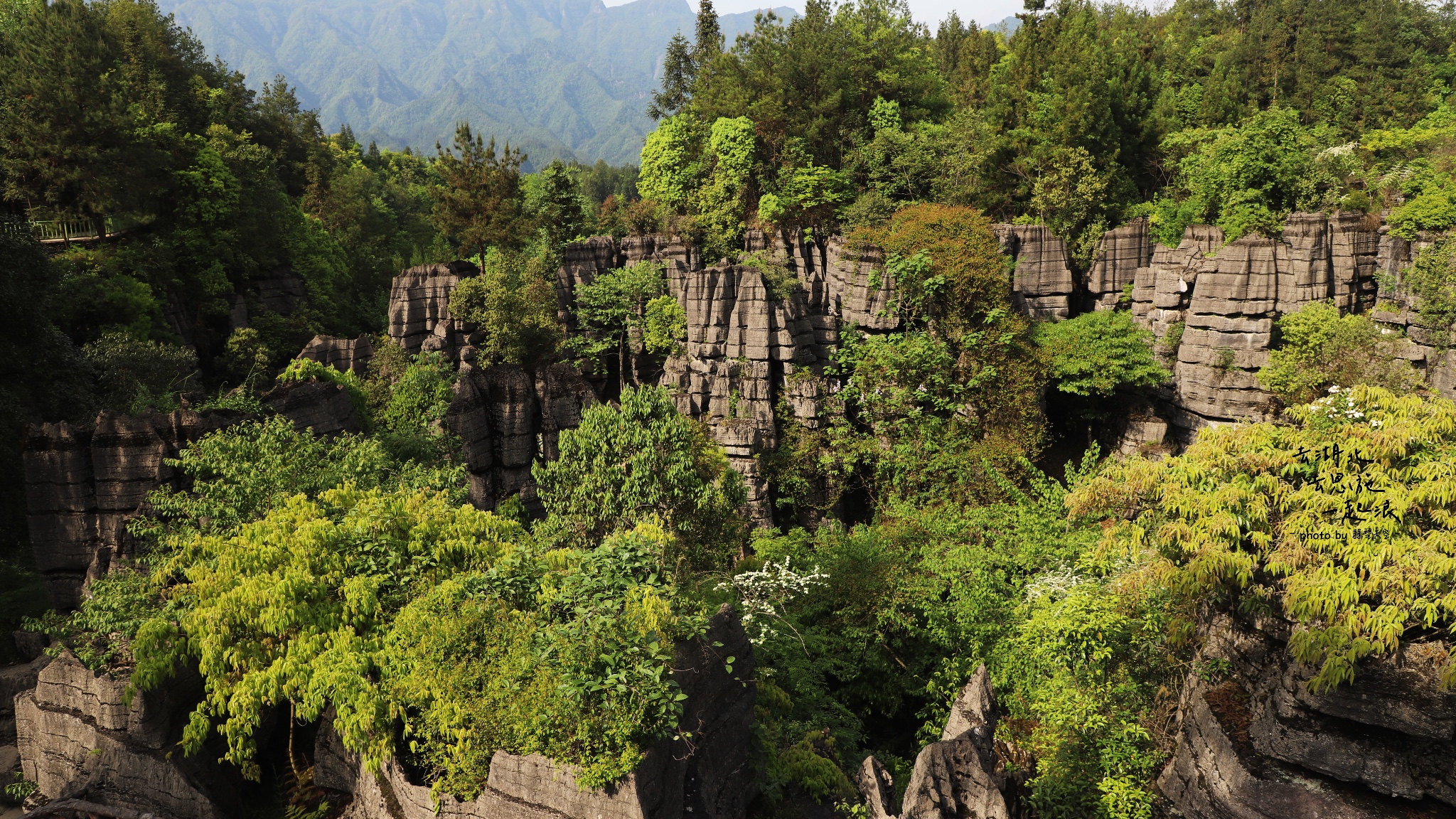 去湖北去恩施一起浪—武汉,恩施五一自驾游