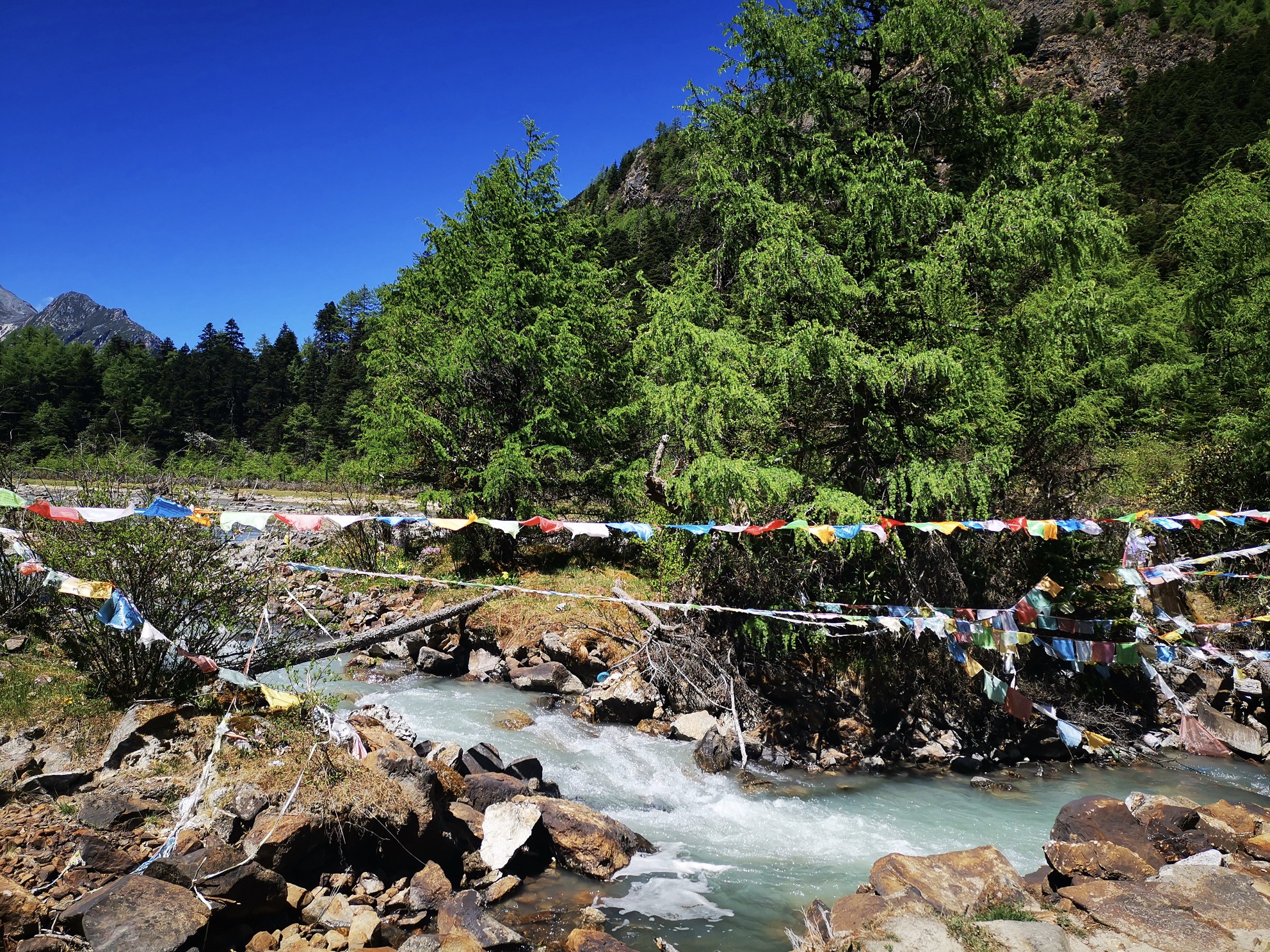 甲根坝莲花湖康定
