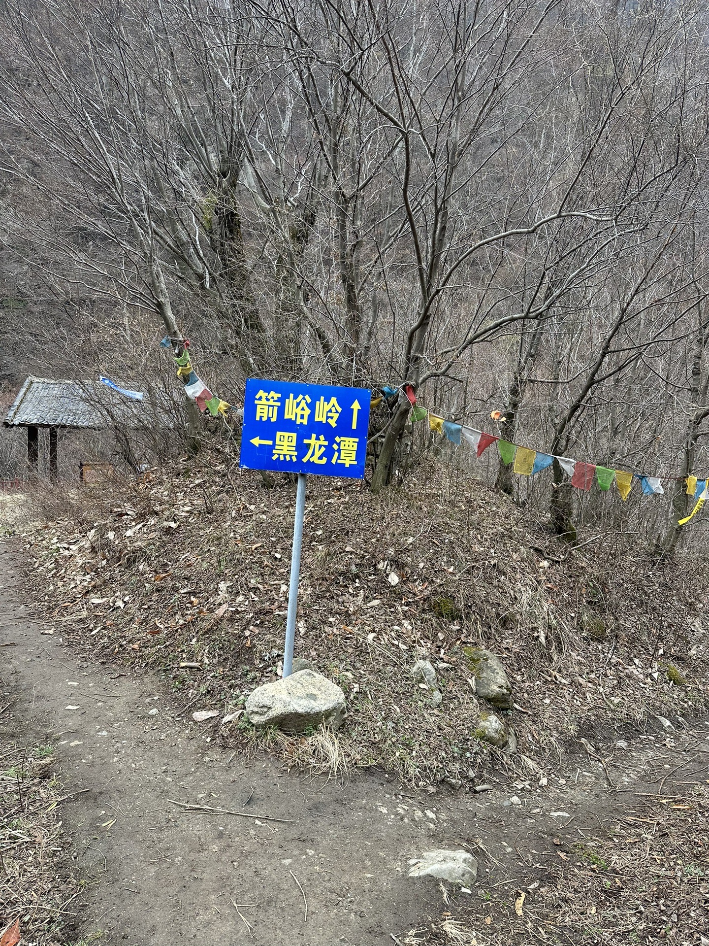 箭峪岭,东秦岭第二高峰,蓝田旅游攻略 - 马蜂窝