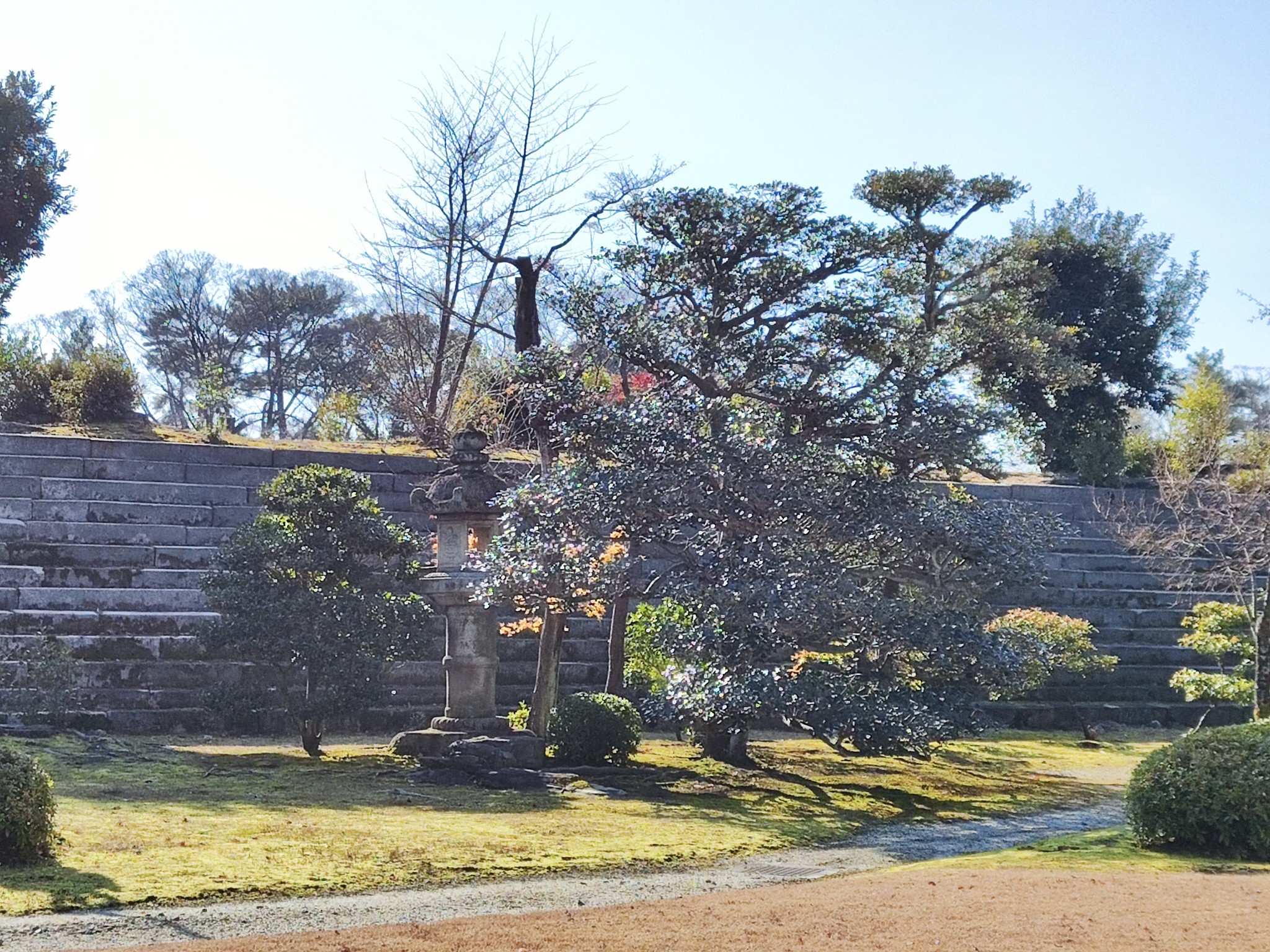 京都自助遊攻略