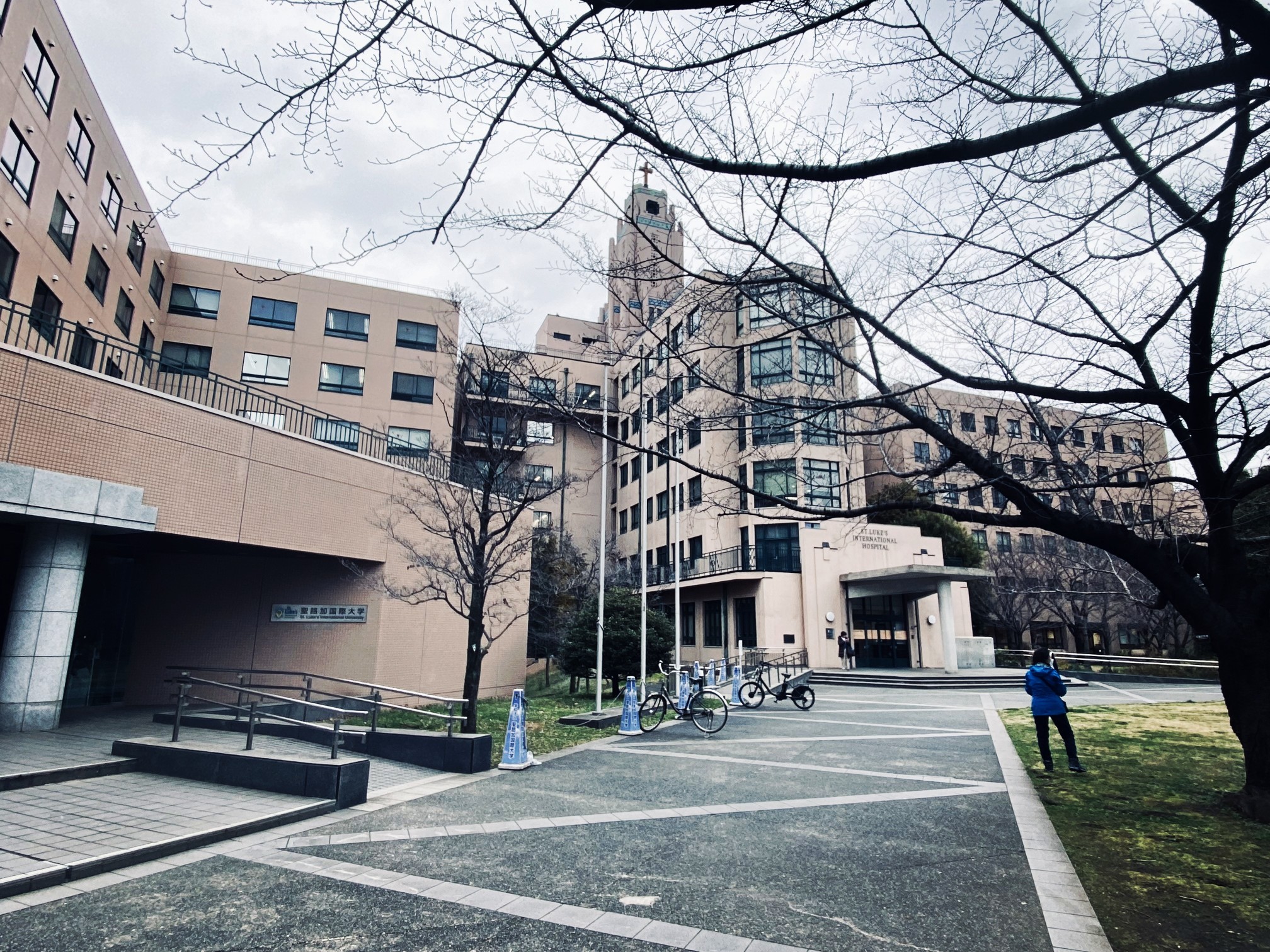 9刷日本①東京掠影→伊豆半島流淌的漫時光·河津