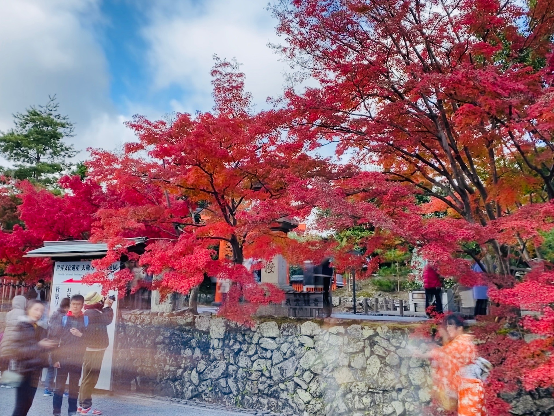 京都自助遊攻略