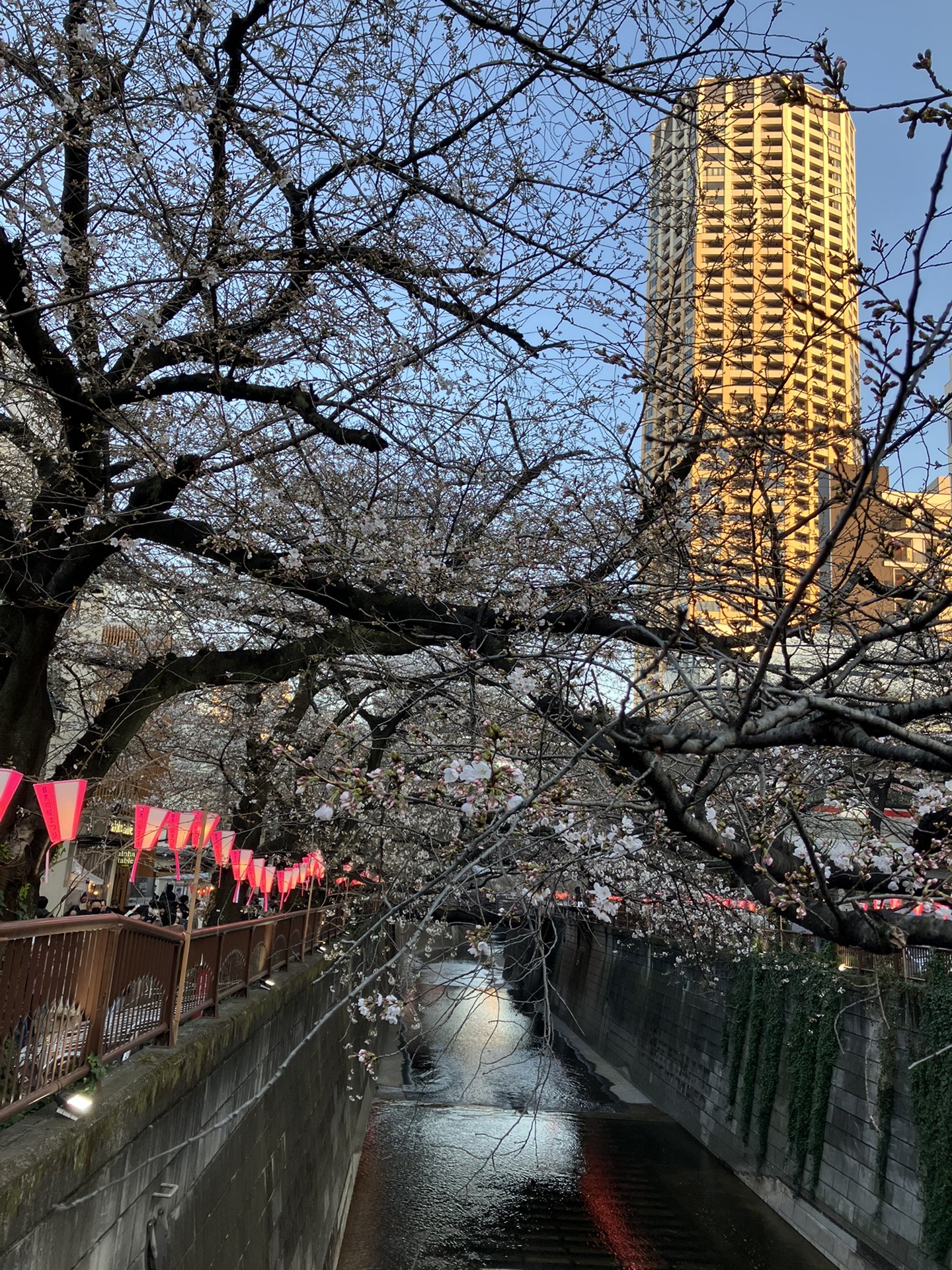 東京自助遊攻略