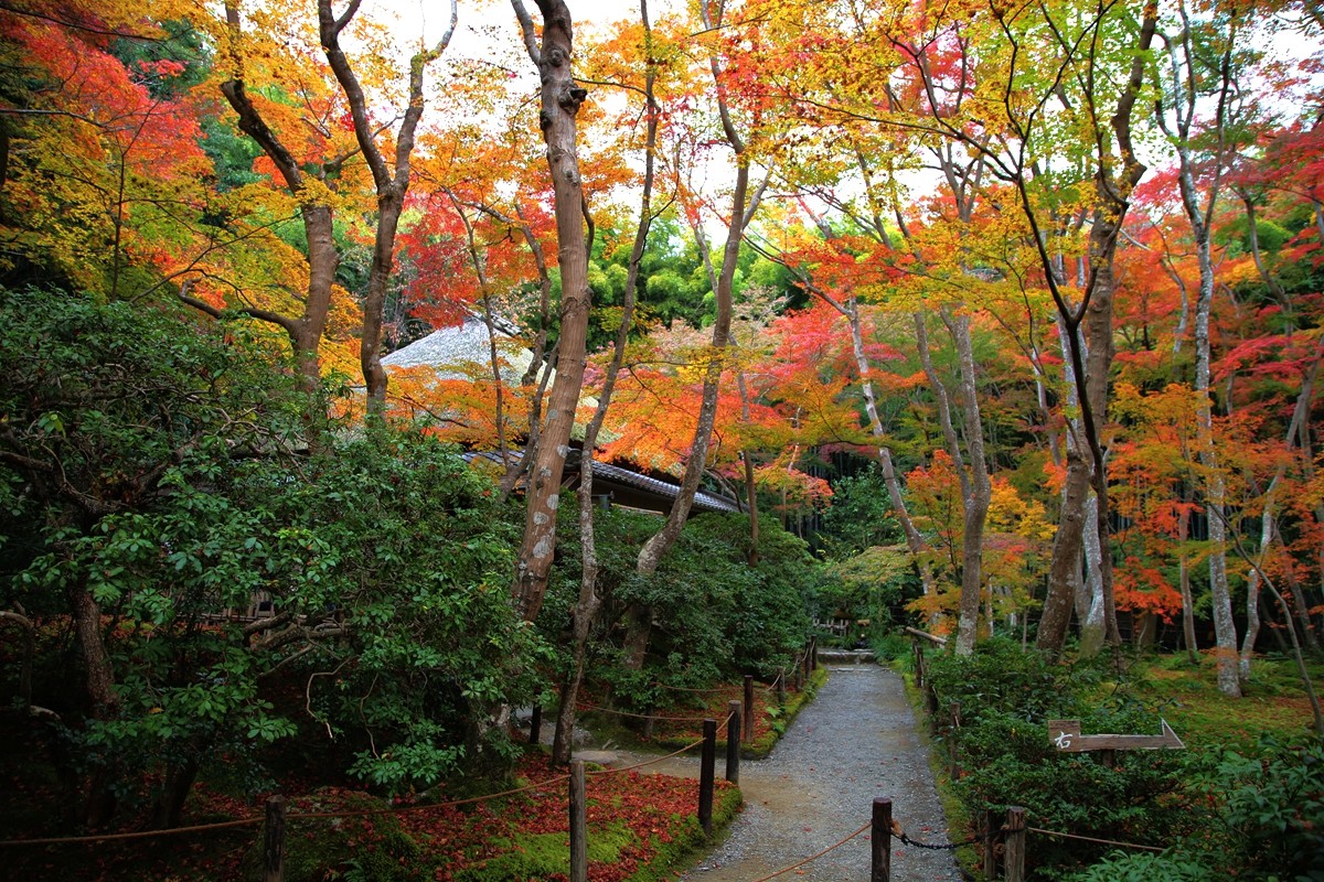 京都自助遊攻略