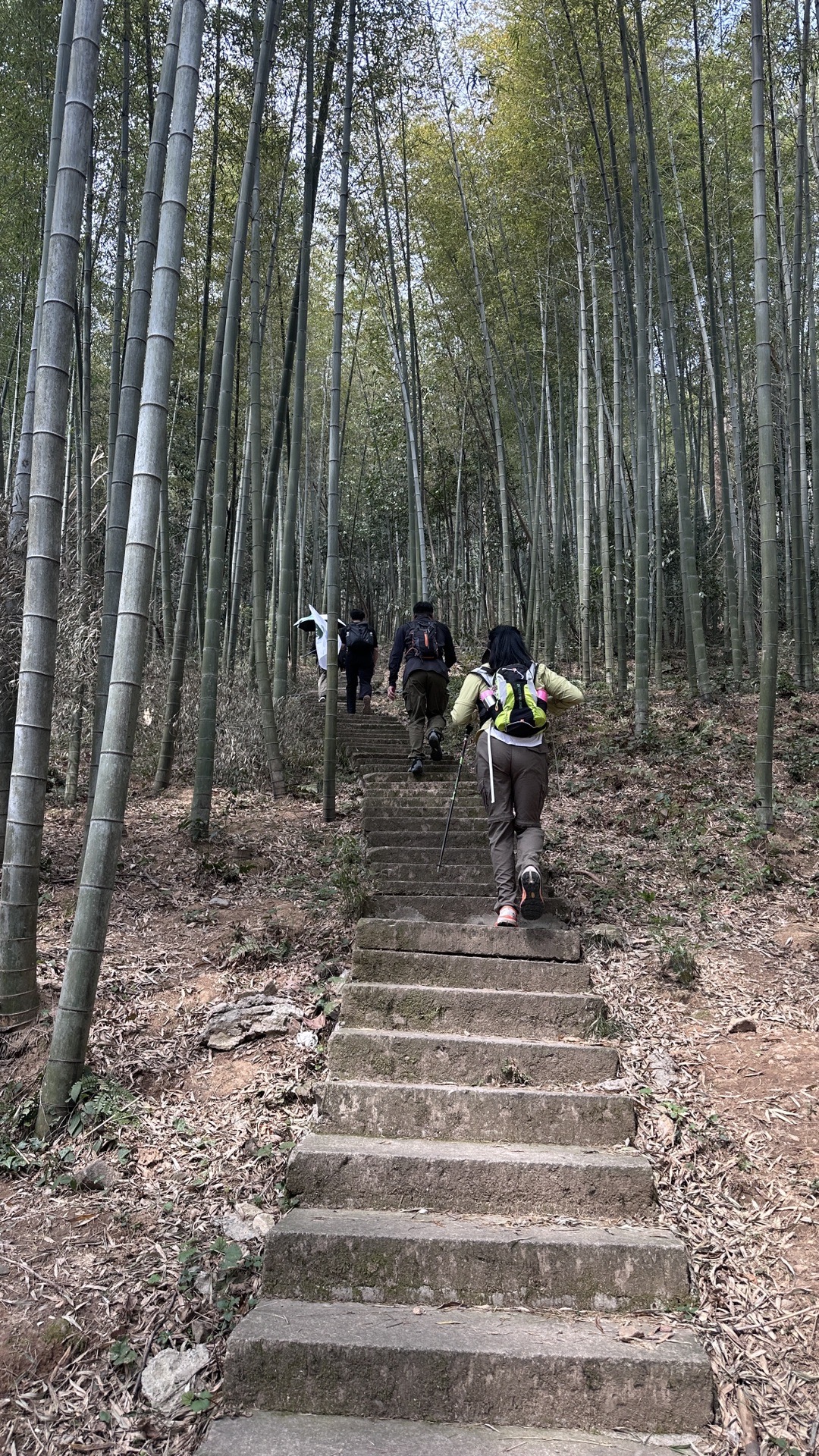 午潮山海拔图片