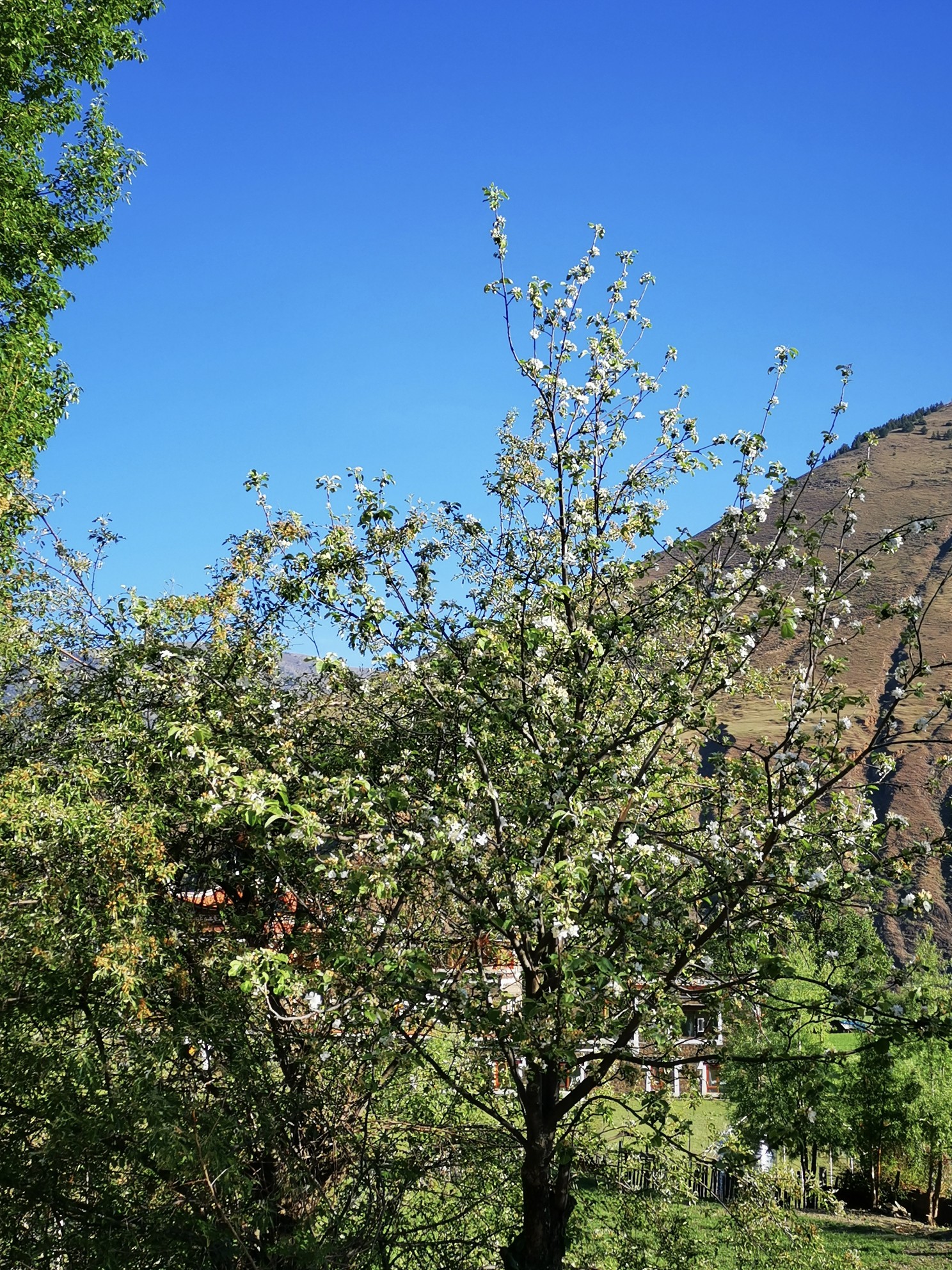 甲根坝莲花湖康定