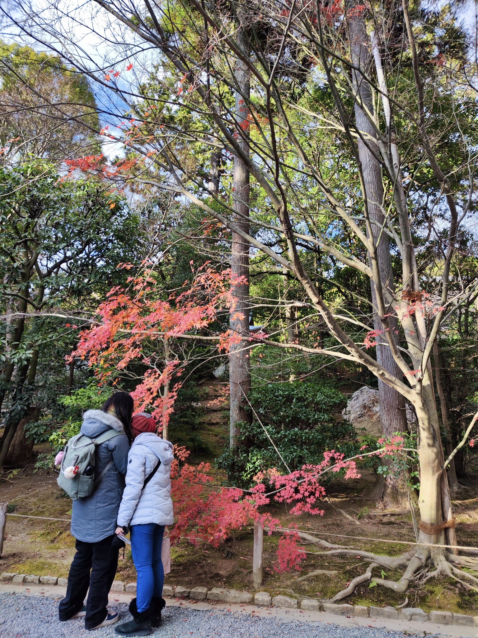 京都自助遊攻略