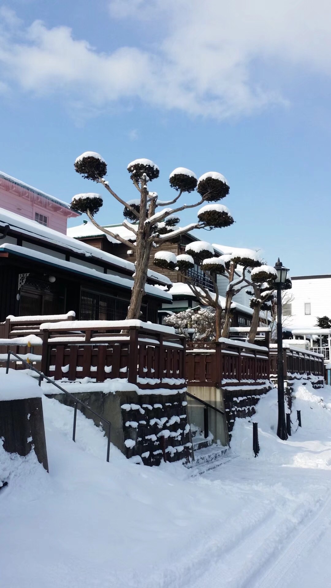 北海道自助遊攻略