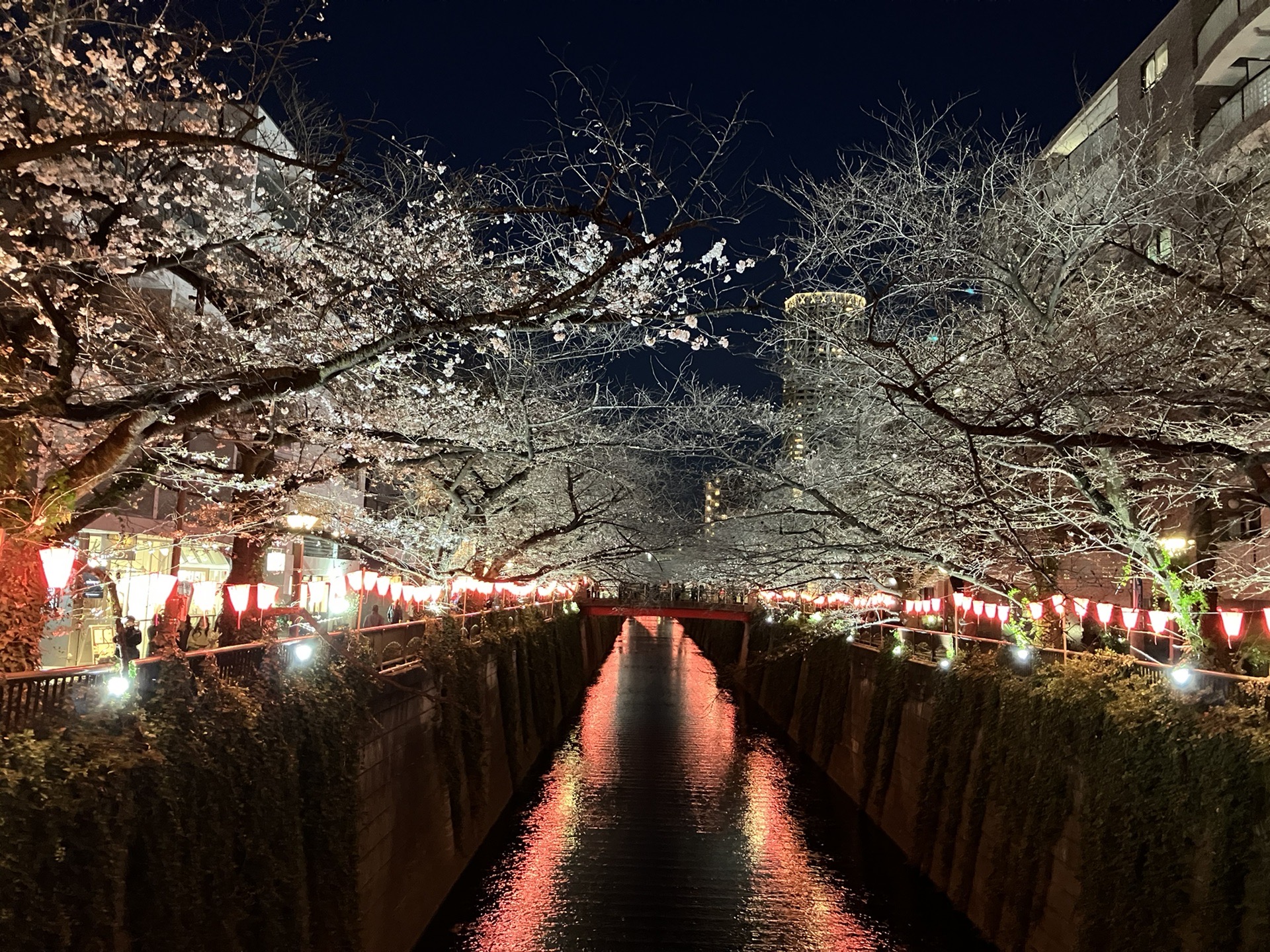 東京自助遊攻略