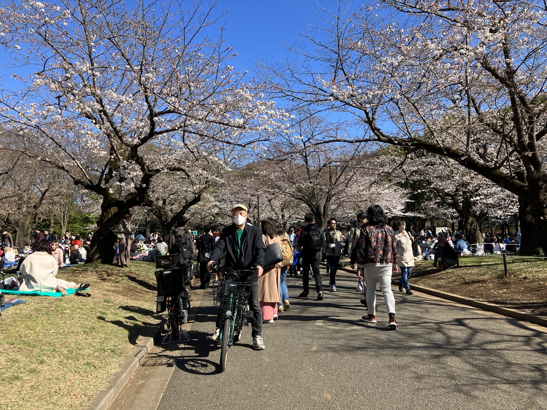 東京自助遊攻略