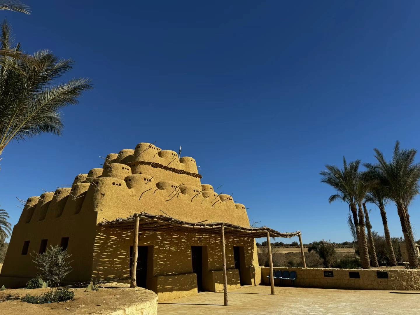 尼罗河畔的金字塔