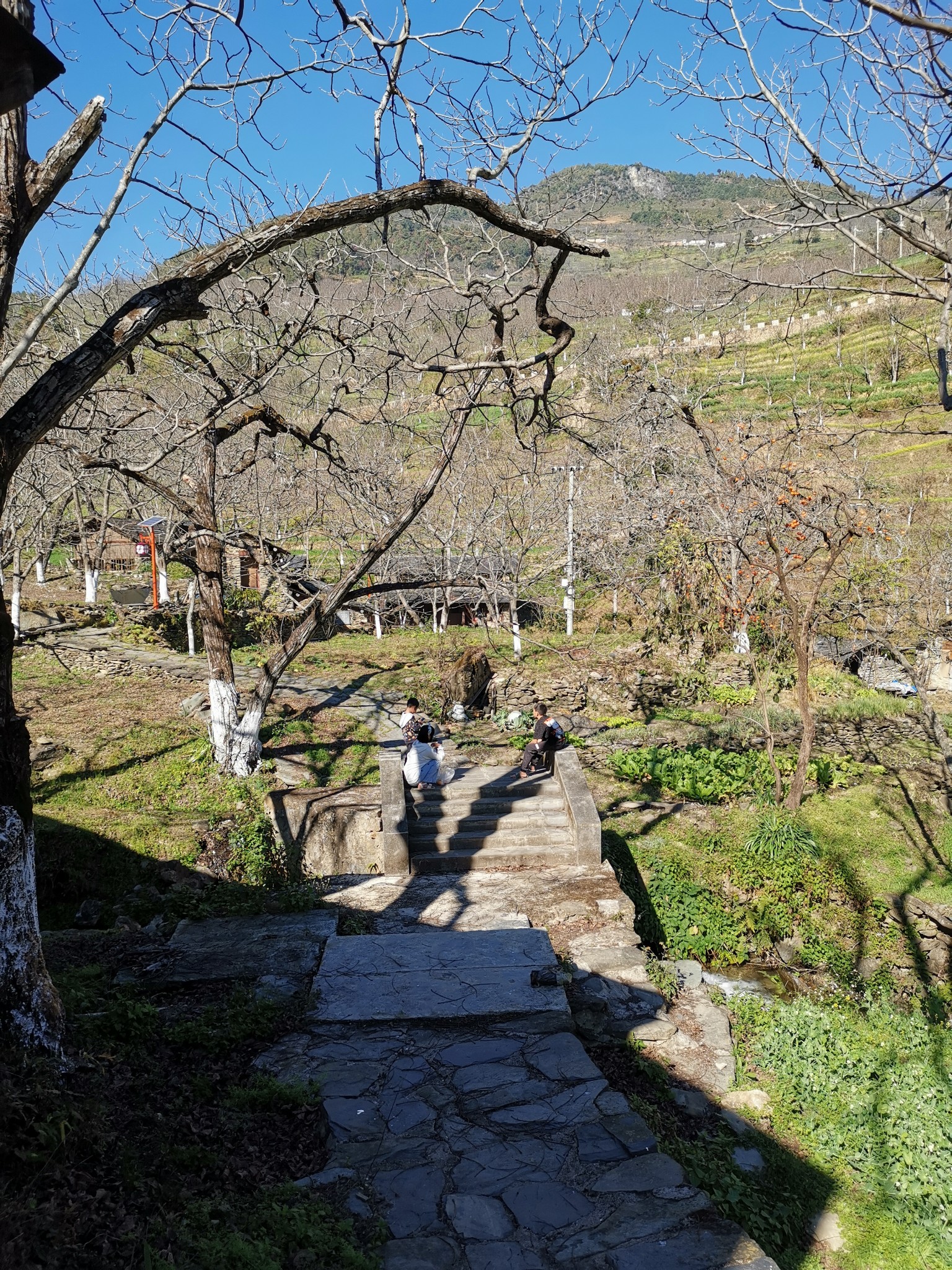 凤庆鲁史古镇古墨村图片