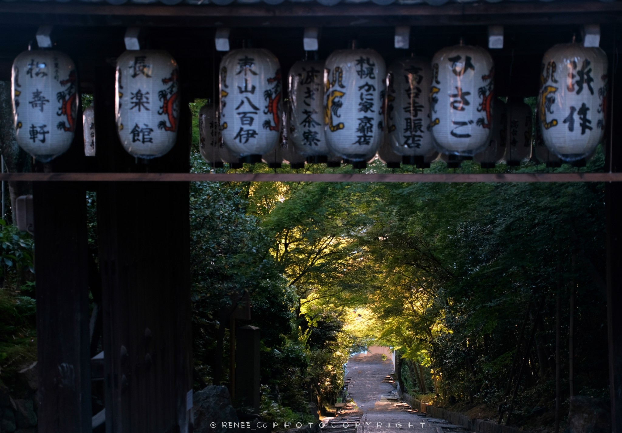 京都自助遊攻略