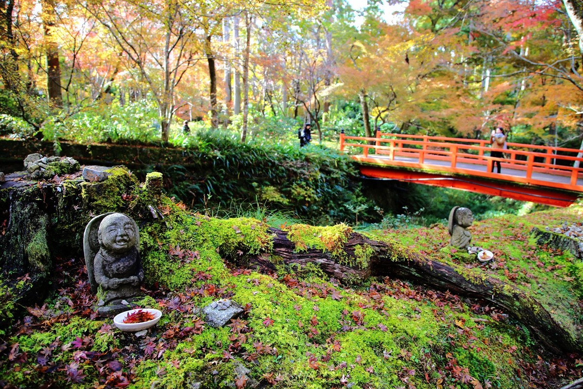 京都自助遊攻略