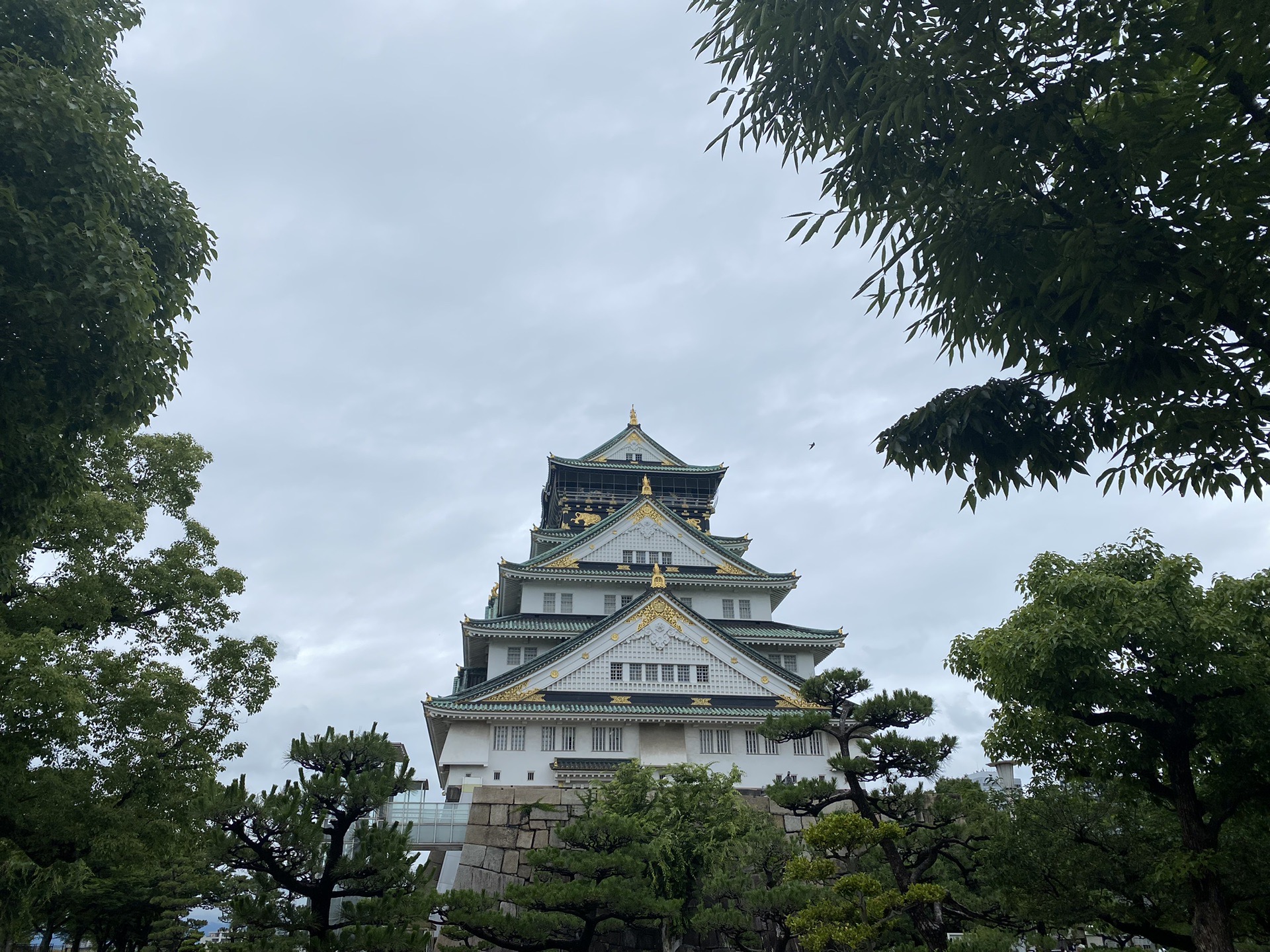 京都自助遊攻略